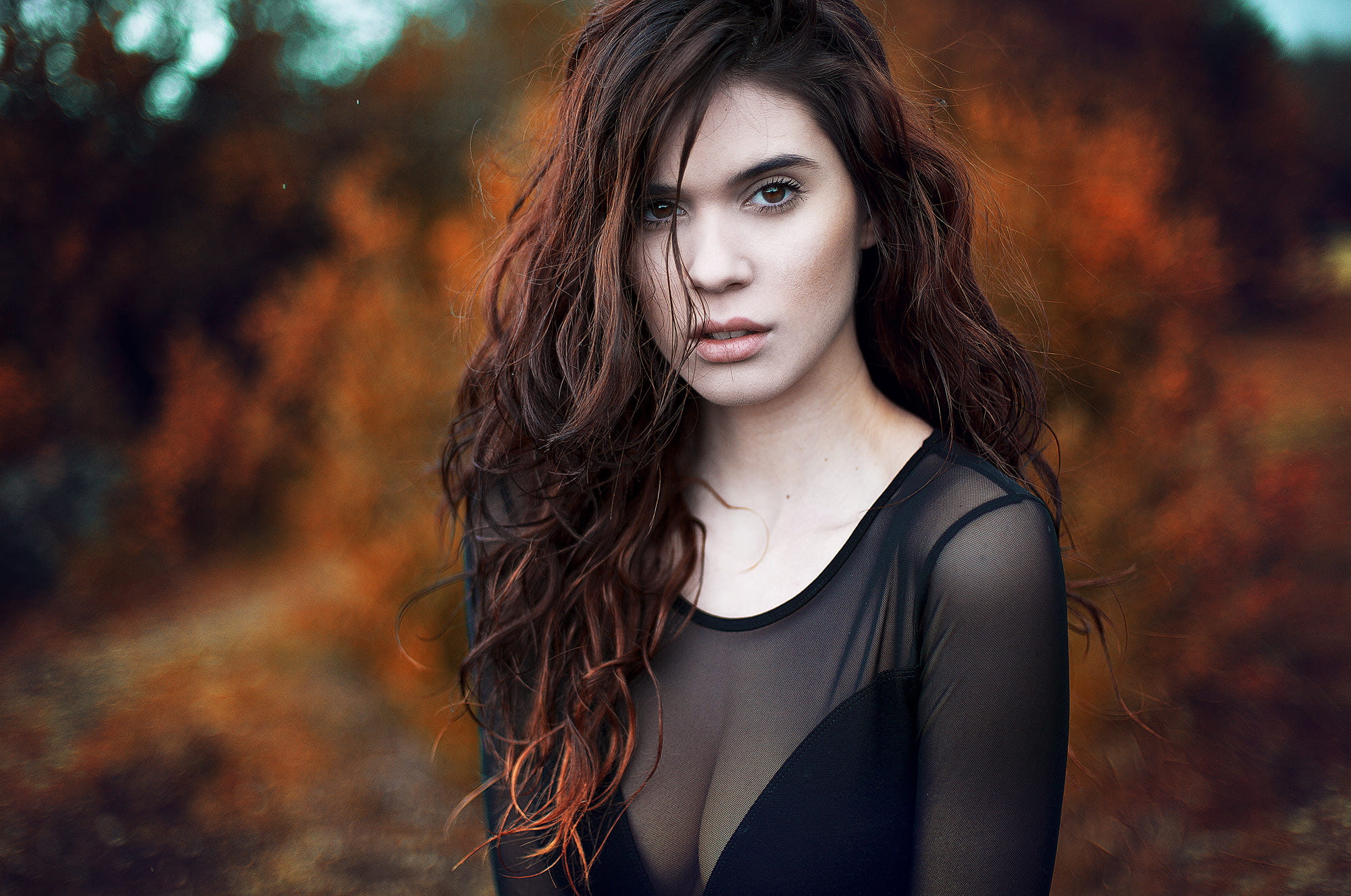 1080P, brunette, see-through clothing, women, curly hair, long hair, HD Wallpaper