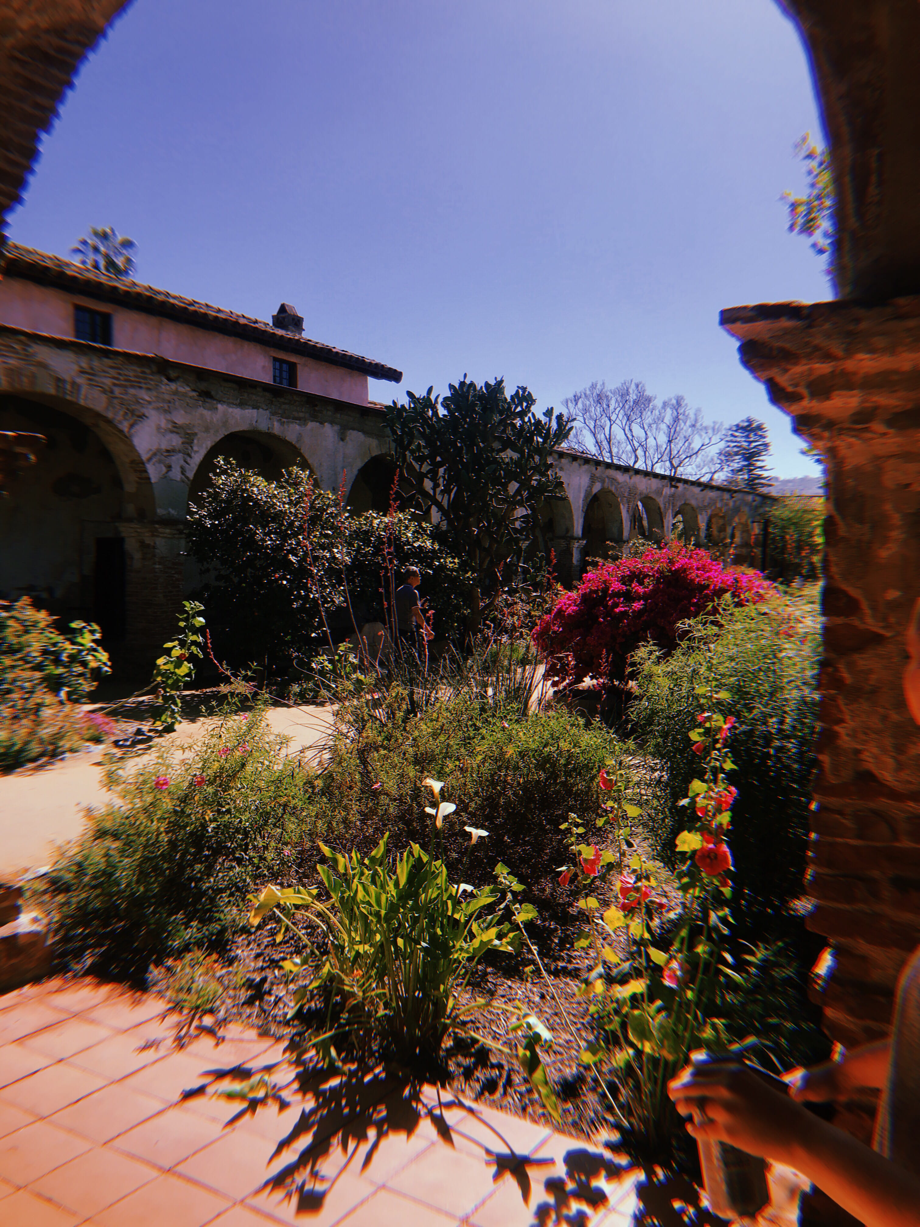 built structure, sunlight, outdoors, building exterior, house, flowering plant, tree, united states, nature, sky, clear sky, building, san juan capistrano, Phone HD Wallpaper