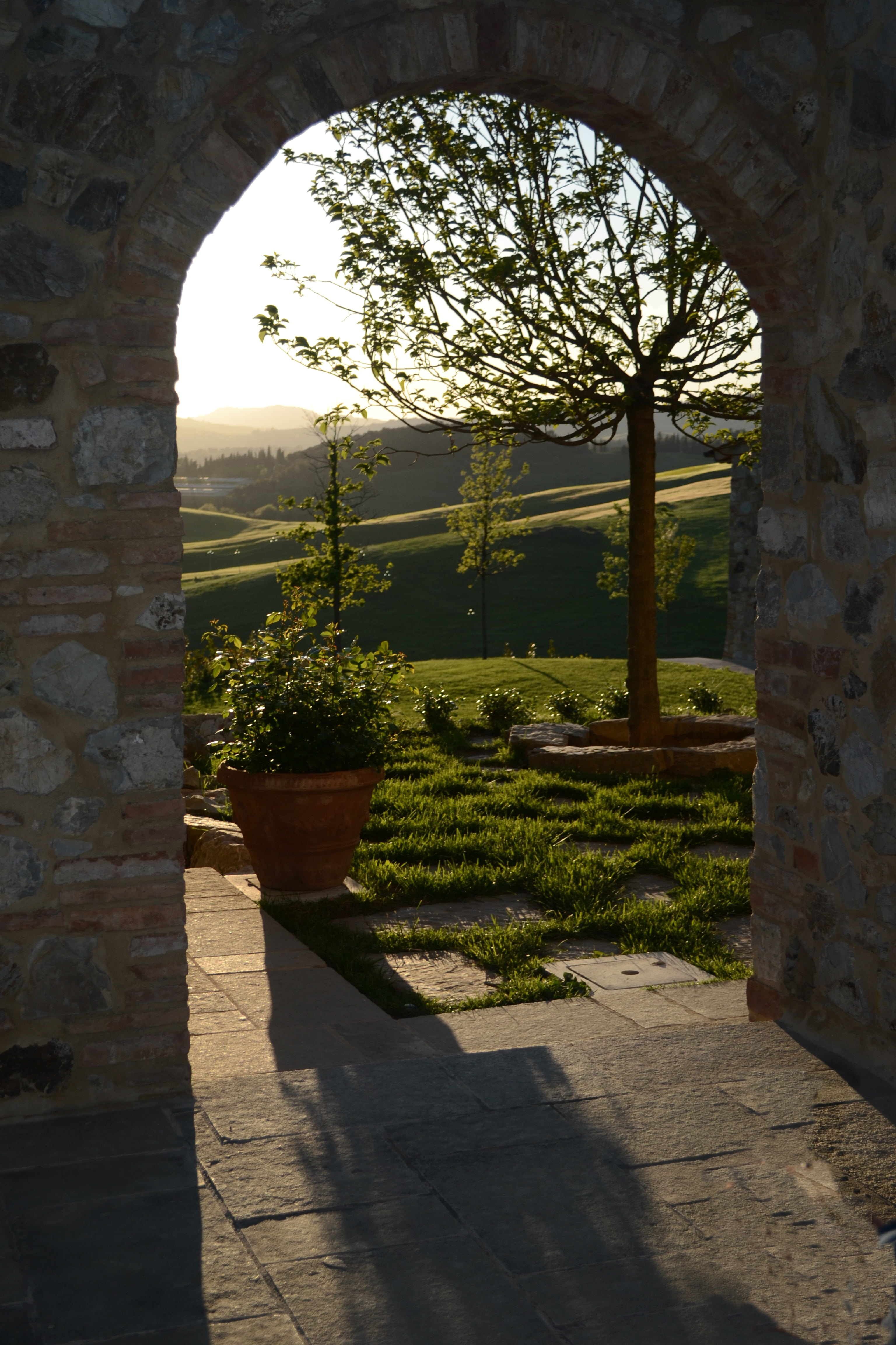 well, footpath, front or back yard, nature, formal garden, sunset, hedge, arch, park - man made space, no people, built structure, grass, garden path, 4K, Phone HD Wallpaper