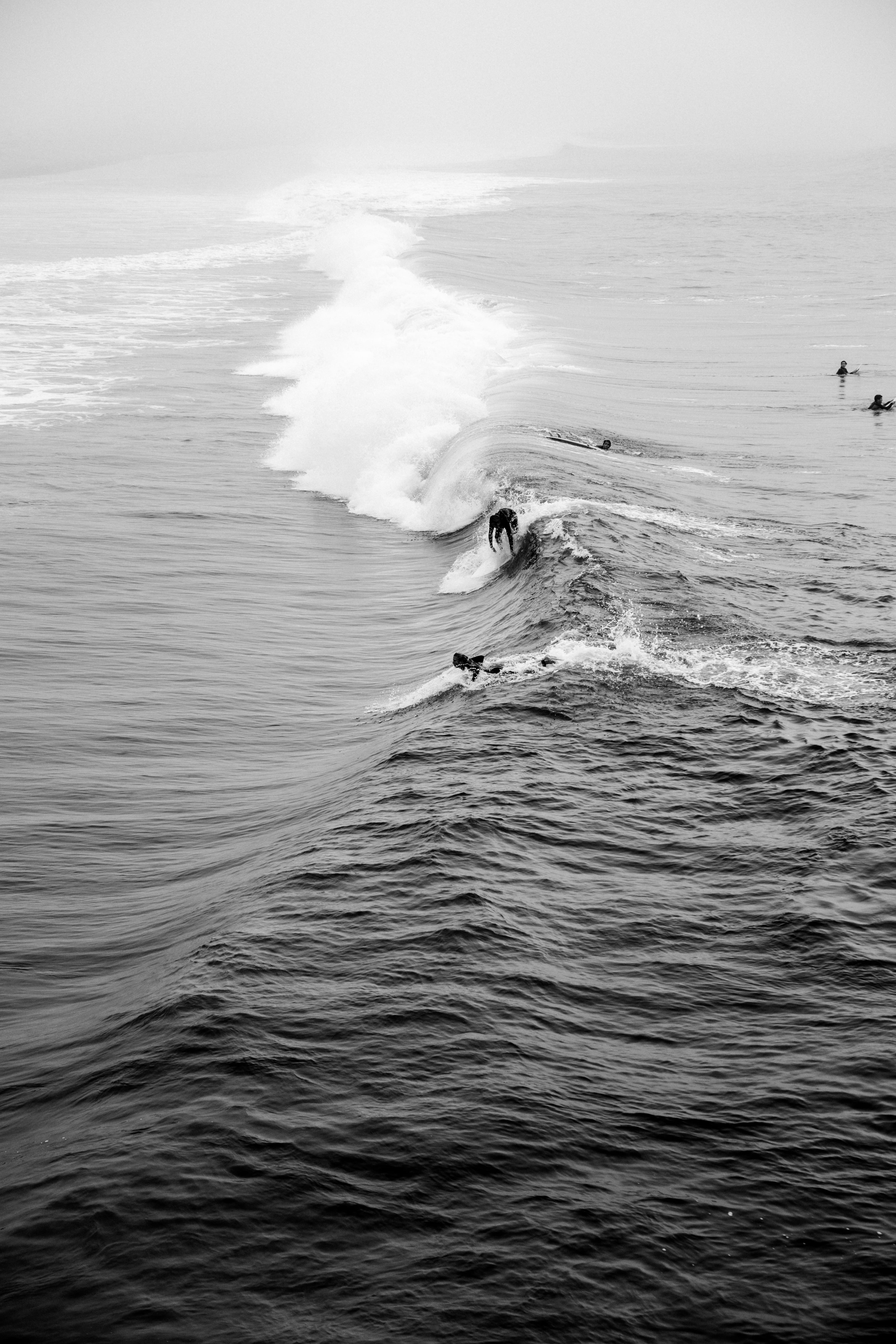 motion, real people, wave, bandw, la, beauty in nature, manhattan beach, beach, 5K, nature, men, surf competition, person, ocean, los angeles, splash, Phone HD Wallpaper
