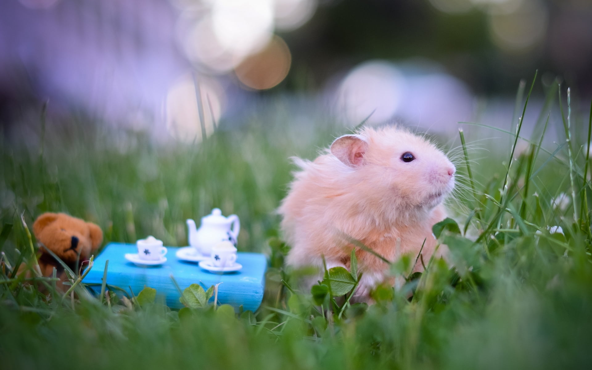 day, hamster, no people, whisker, land, domestic, 1080P, selective focus, animal themes, close-up, domestic animals, vertebrate, grass, pets, plant, animals, HD Wallpaper