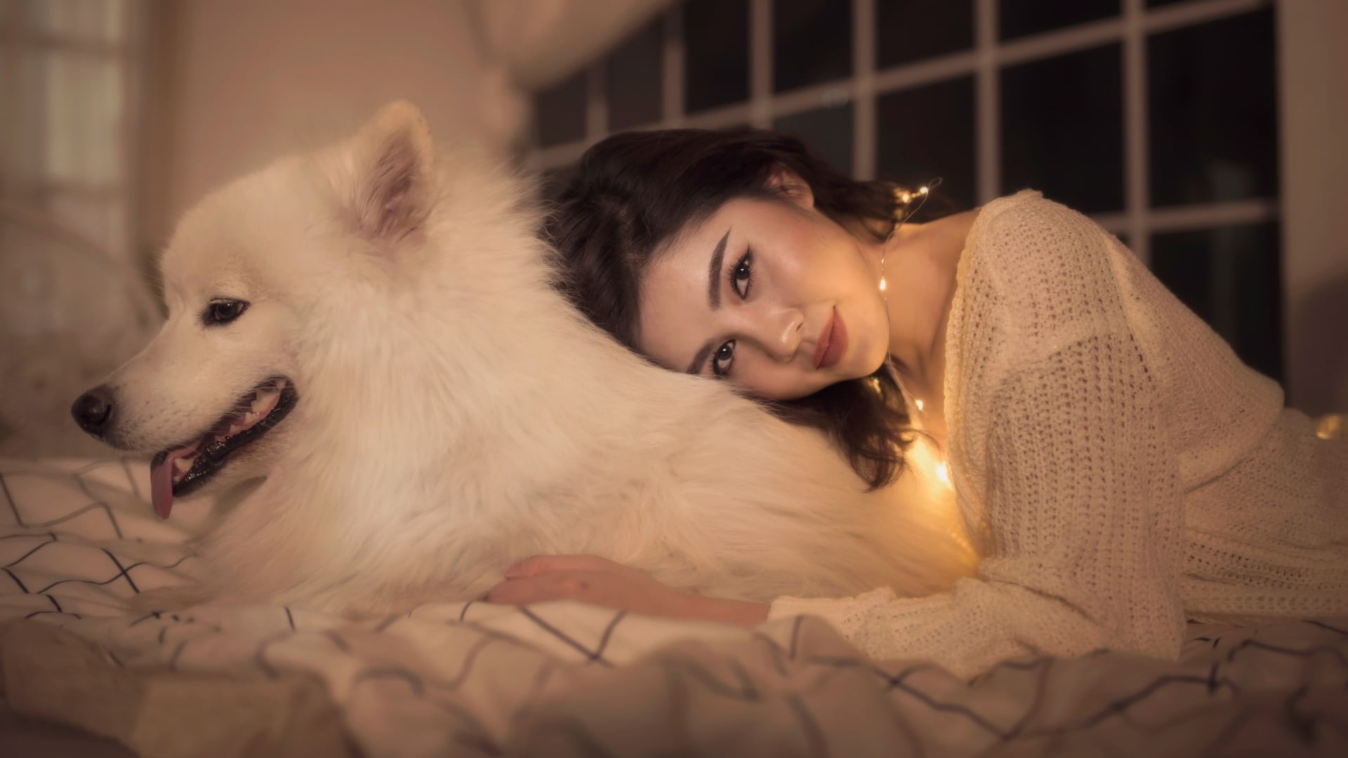 hairstyle, beauty, young adult, indoors, animals, canine, domestic, women, hair, young women, pets, Asian, happiness, mammal, one animal, looking at camera, HD Wallpaper
