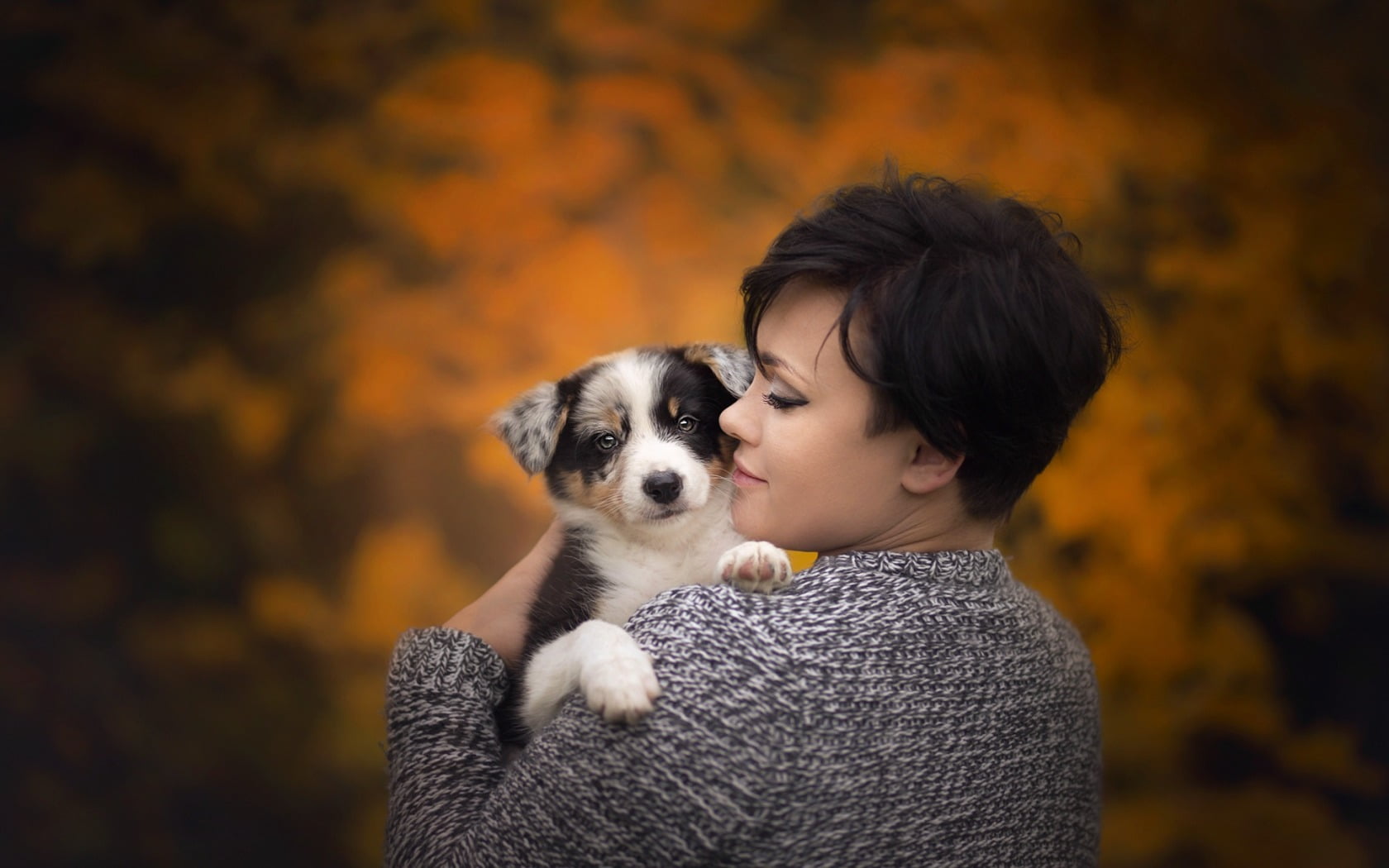 fall, domestic, dog, one animal, real people, 720P, women, bonding, casual clothing, young adult, animals, focus on foreground, mammal, autumn, pets, love, HD Wallpaper