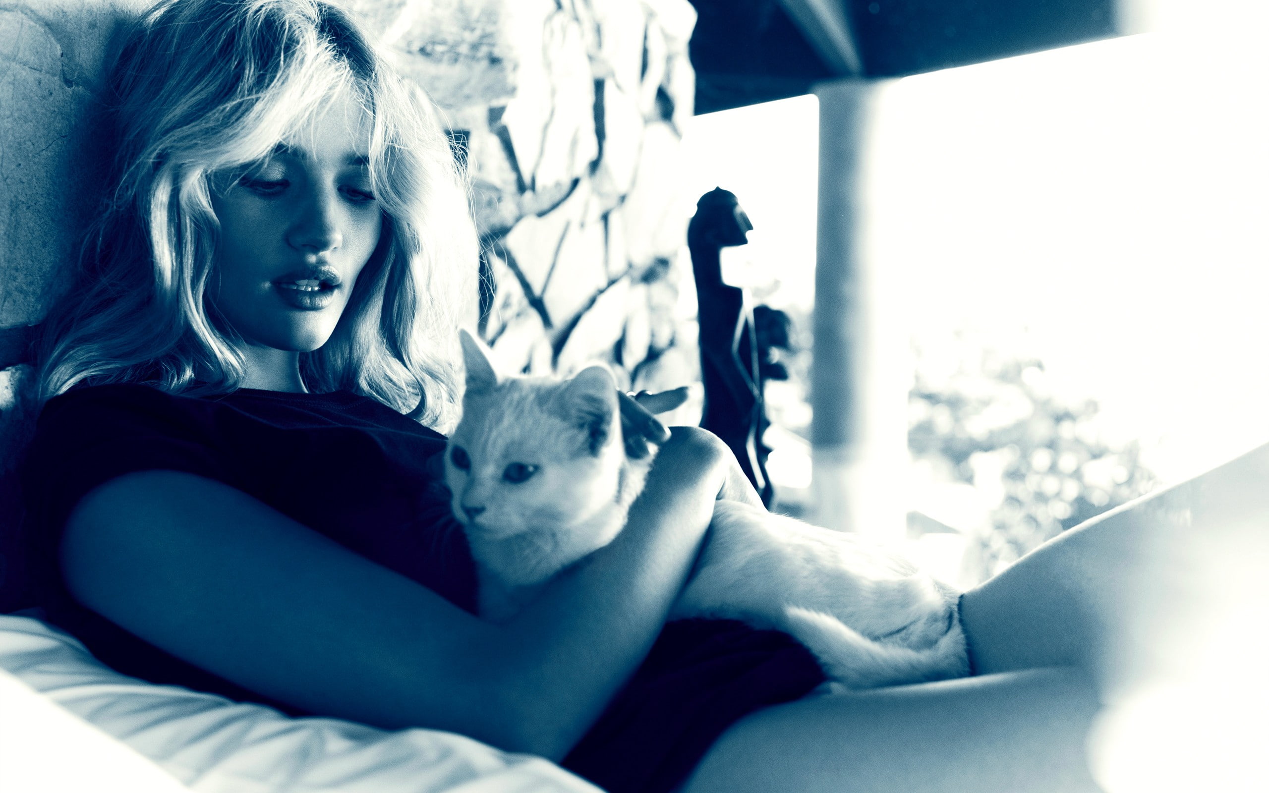 mammal, one person, animal, portrait, animal themes, 2K, beautiful woman, pet owner, monochrome, lifestyles, cat, one animal, domestic, real people, blonde, HD Wallpaper