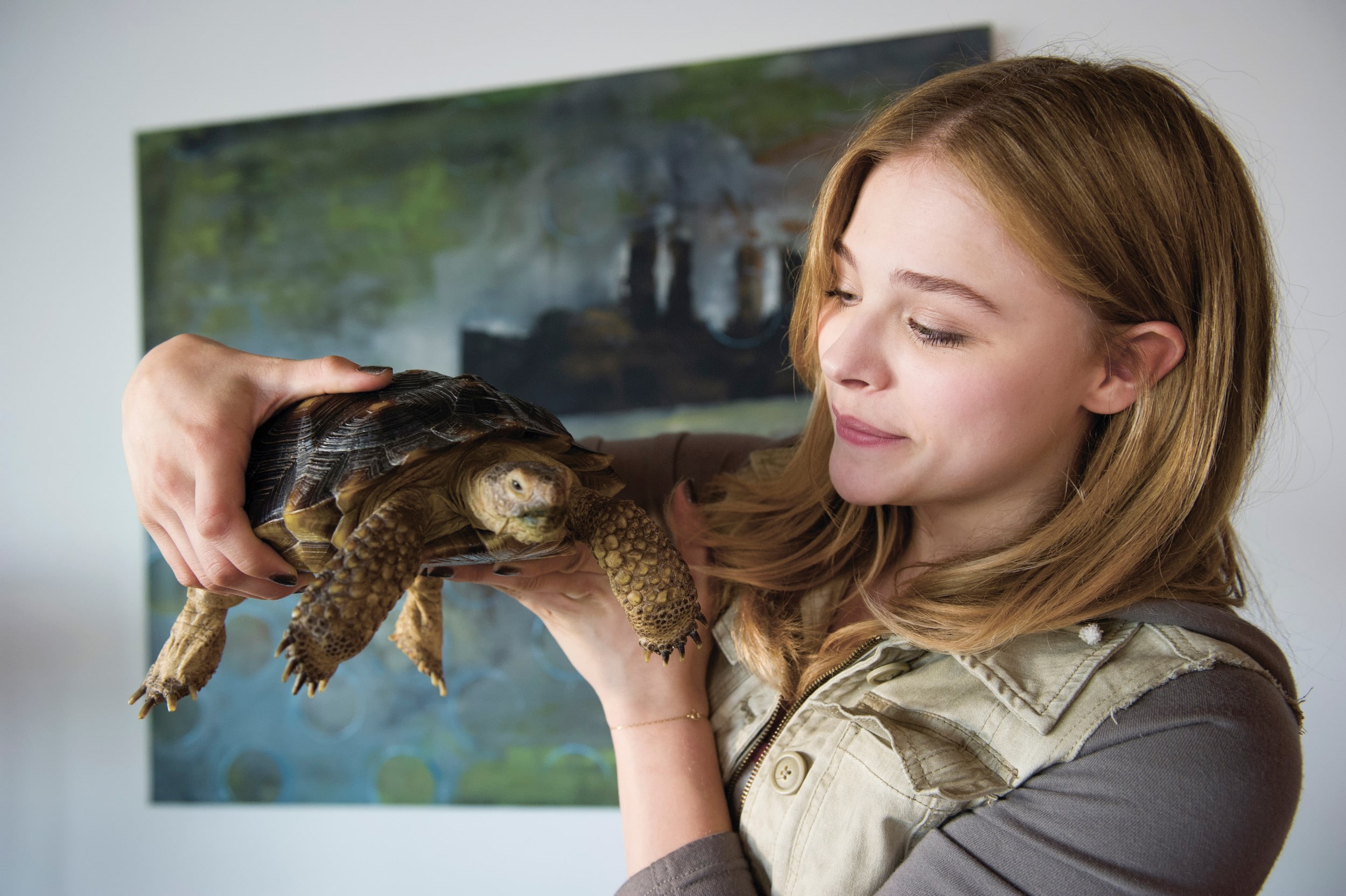 real people, happiness, animals, indoors, holding, 1080P, blonde, women, blond hair, portrait, Chloë Grace Moretz, actress, emotion, turtle, hairstyle, HD Wallpaper