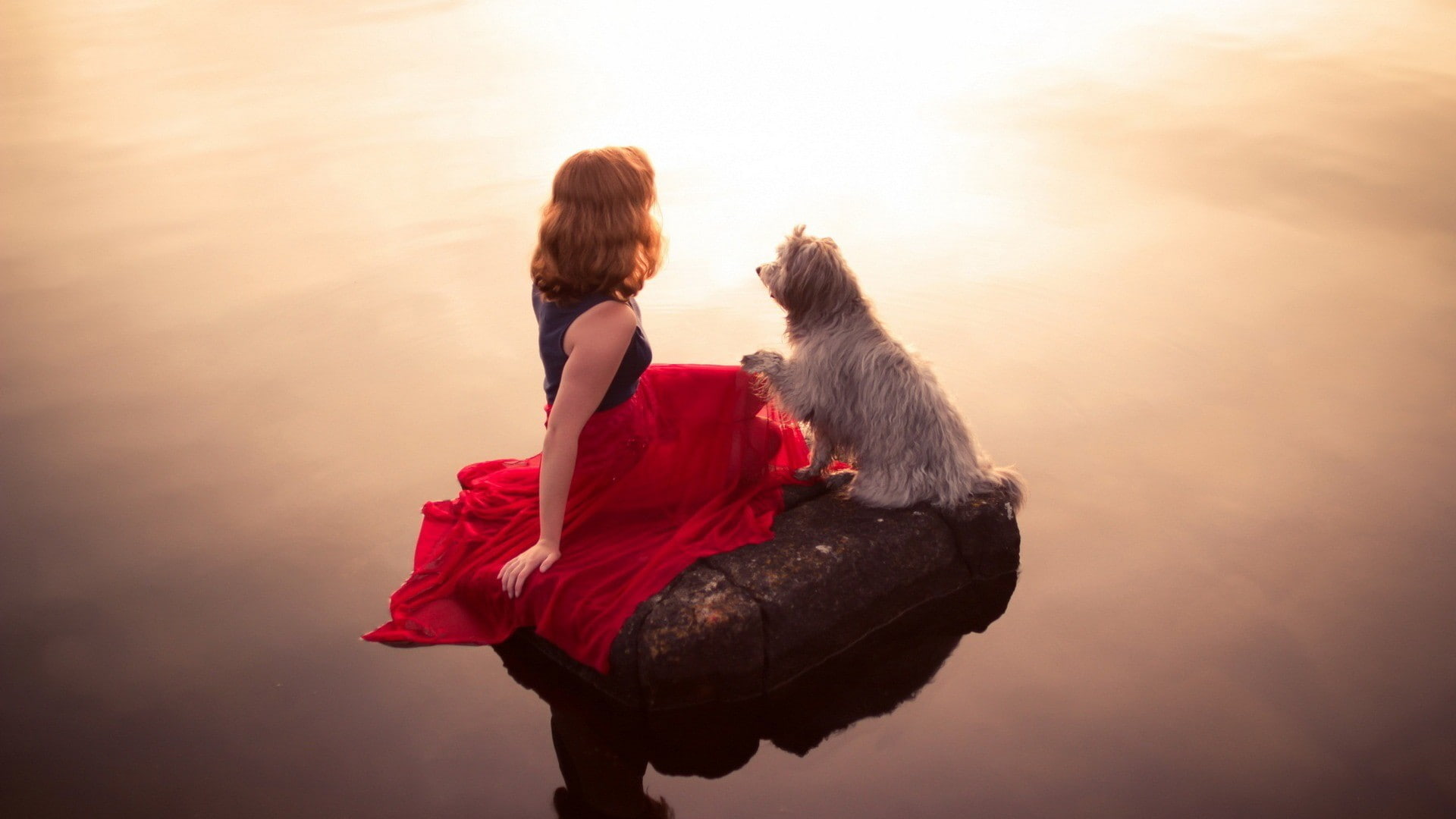 reflection, adult, pet owner, hairstyle, one animal, dog, women, pets, mammal, casual clothing, rear view, vertebrate, canine, red, one person, domestic, HD Wallpaper