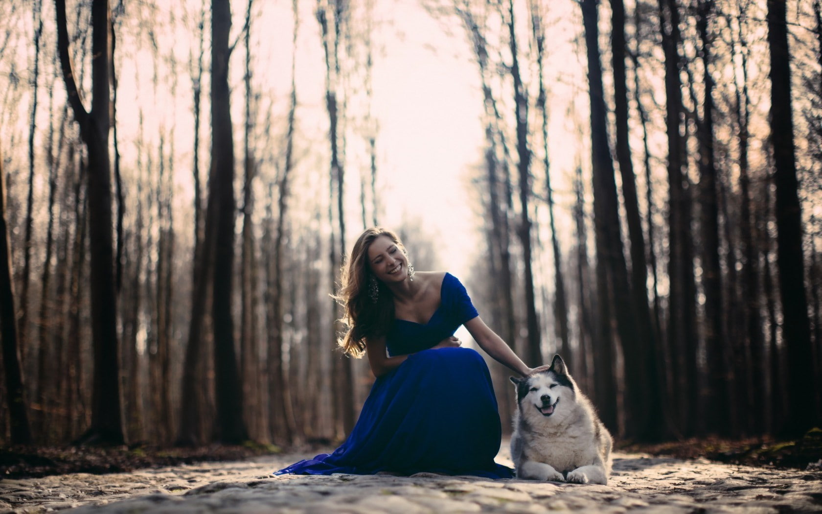 forest, blue dress, beautiful woman, road, woodland, vertebrate, tree, land, 720P, women, plant, pet owner, one person, domestic, leisure activity, lifestyles, HD Wallpaper