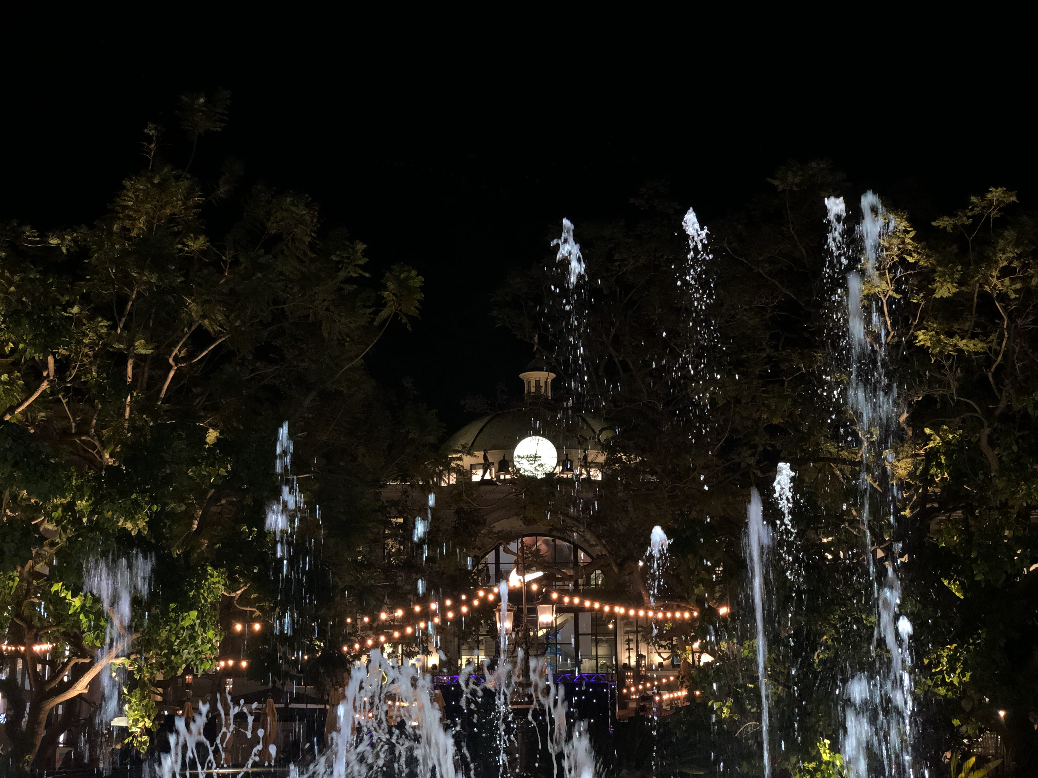 fountain, 4K, night life, drinking fountain, nature, history, illuminated, plant, group of people, built structure, clothing, incidental people, building, HD Wallpaper