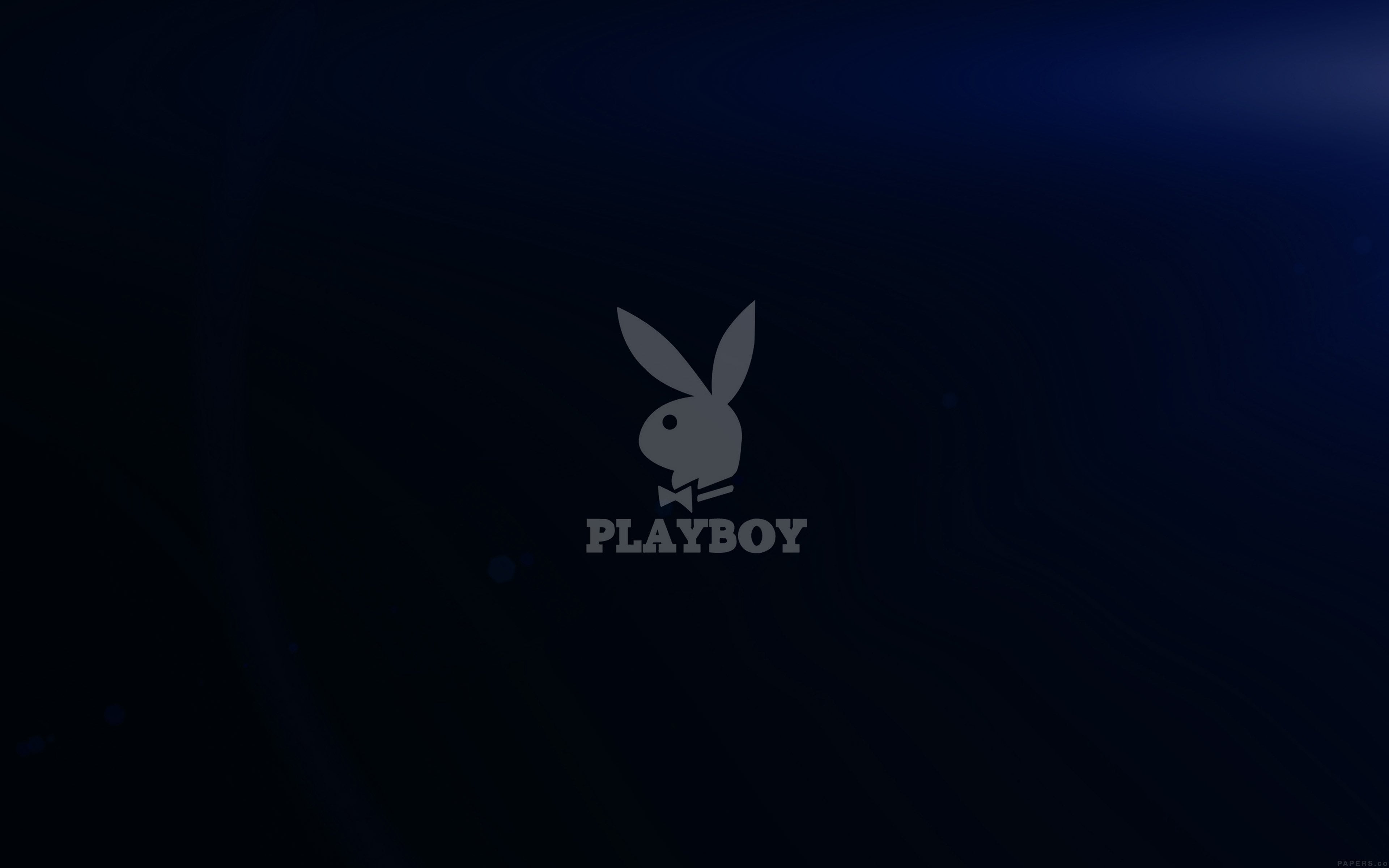 playboy, animal themes, craft, 4K, text, evil, dark, close-up, no people, creativity, logo, mammal, studio shot, communication, sign, art and craft, animal, HD Wallpaper