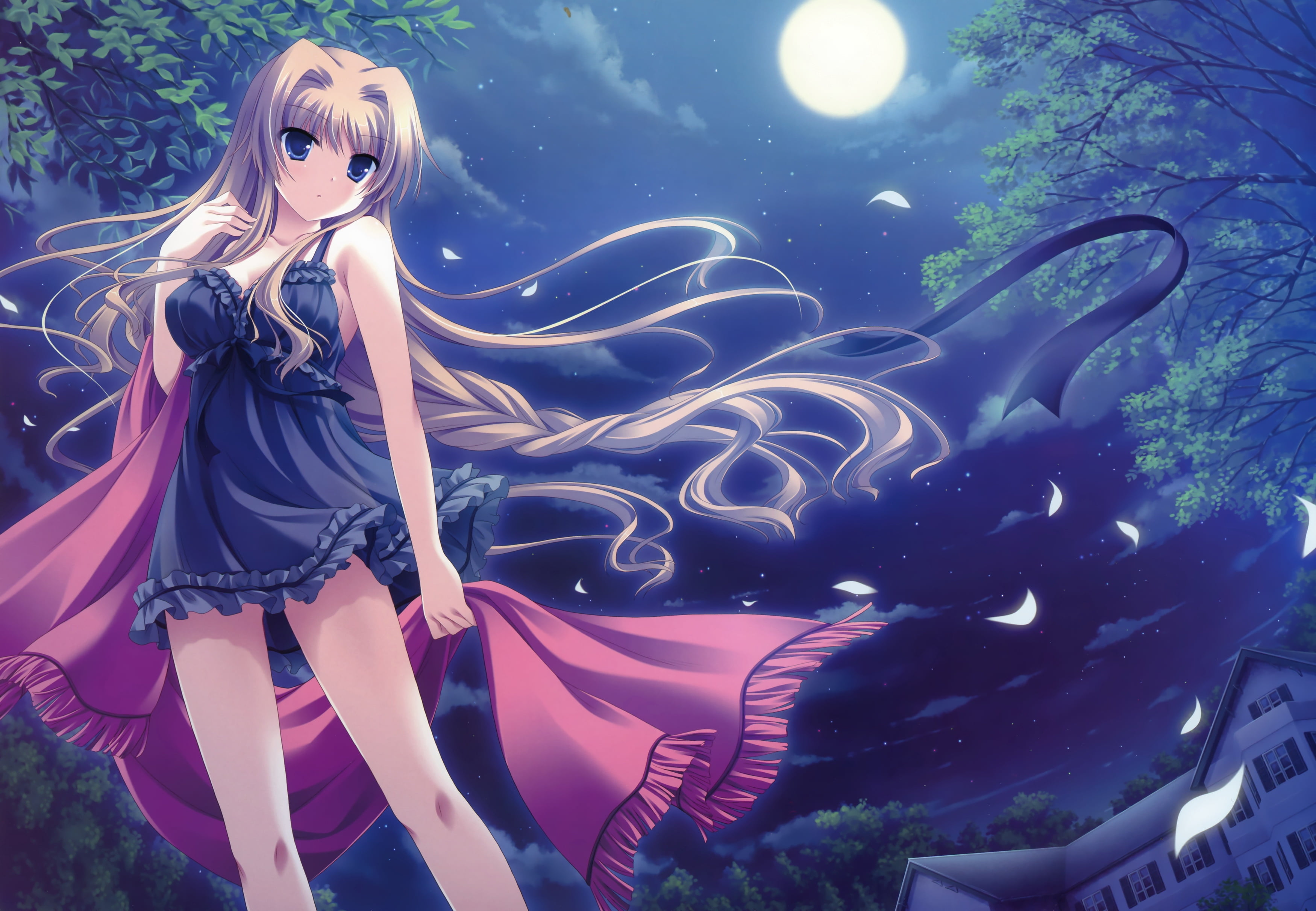 digital, computer Graphic, mystery, adult, beautiful, nature, anime, young adult, hairstyle, dress, portrait, nighties, vector, females, night, representation, HD Wallpaper
