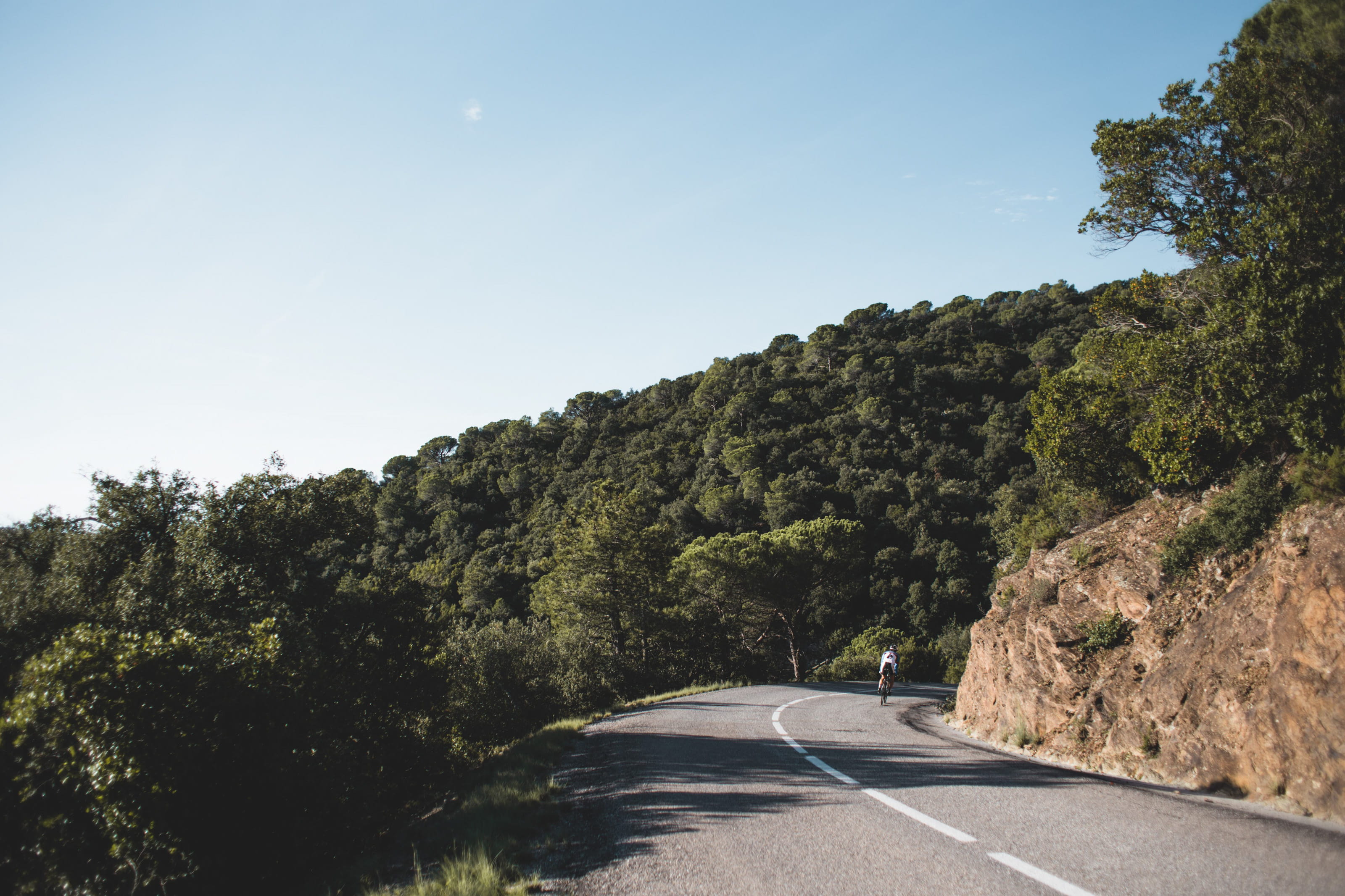 clear sky, outdoor, direction, mountains, Mountain, forest, diminishing perspective, curvy, road marking, day, growth, Sky, transportation, road, Scenic, HD Wallpaper