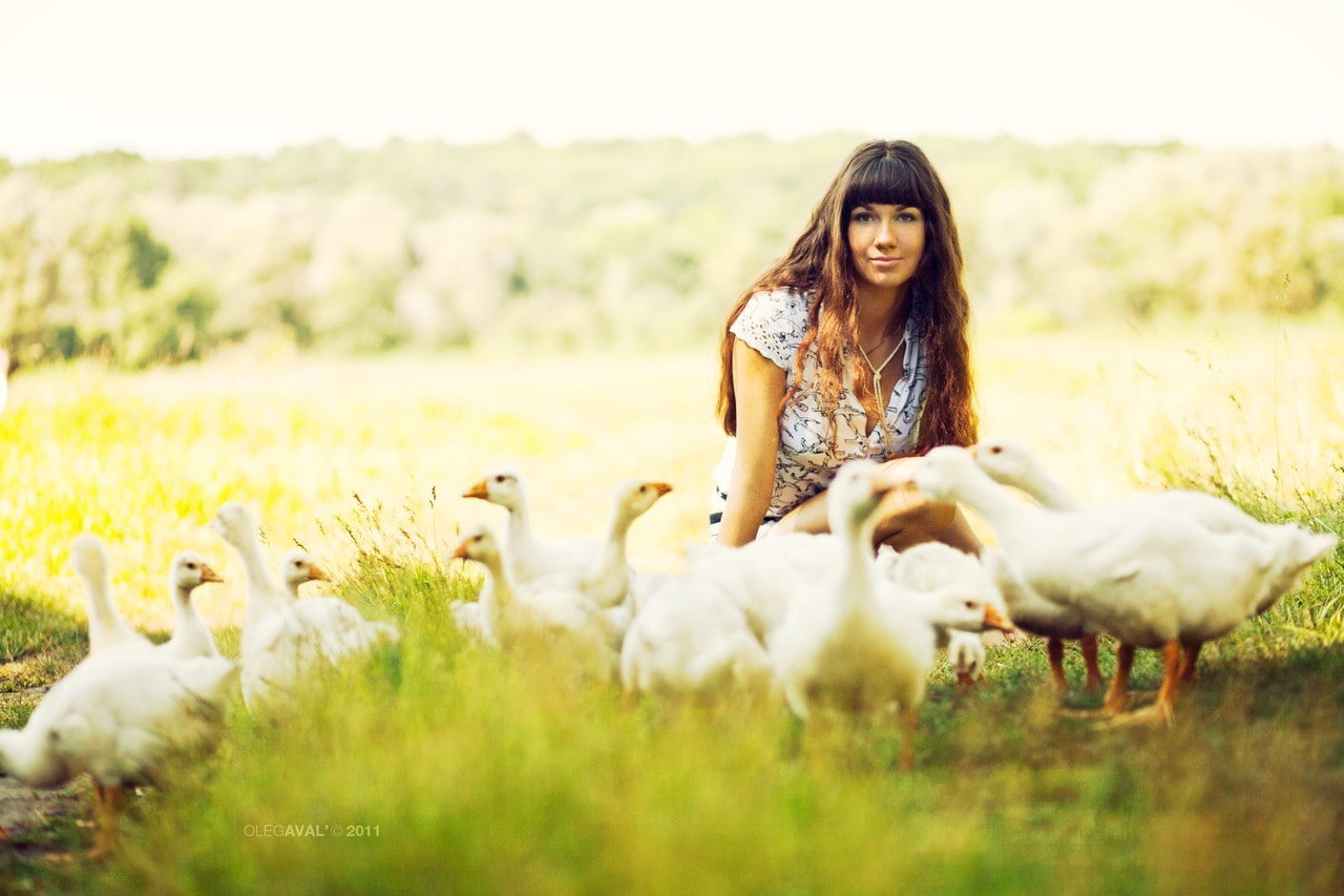 720P, brunette, Oleg Aval, 2011 (Year), animals, Ukraine, Ukrainian, model, women, HD Wallpaper