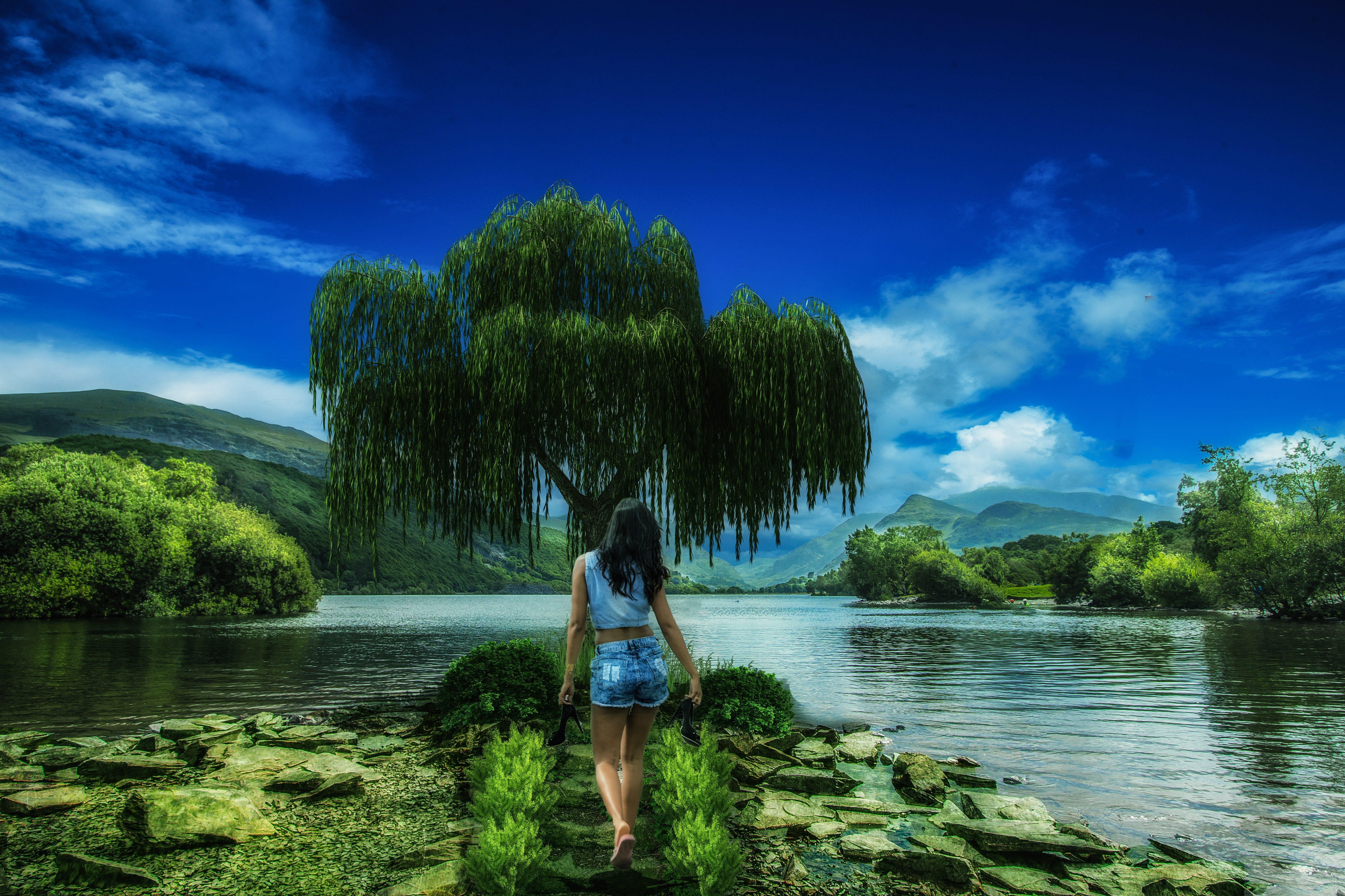women, beauty in nature, real people, rear view, background, standing, girl, scenic, beside, beautiful, wood, full length, water, cloud, trees, HD Wallpaper