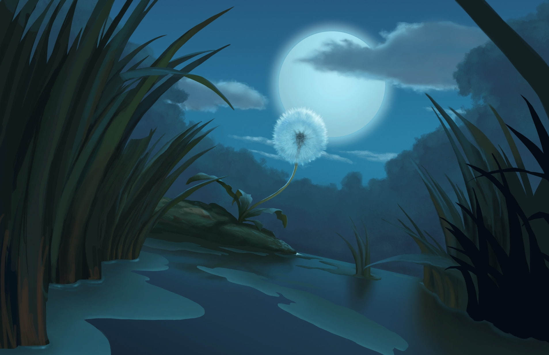 water, marine, cloud, plant, animal wildlife, sea life, night, luna, undersea, no people, princess and the frog scene, joanna levine, outdoors, beauty in nature, HD Wallpaper