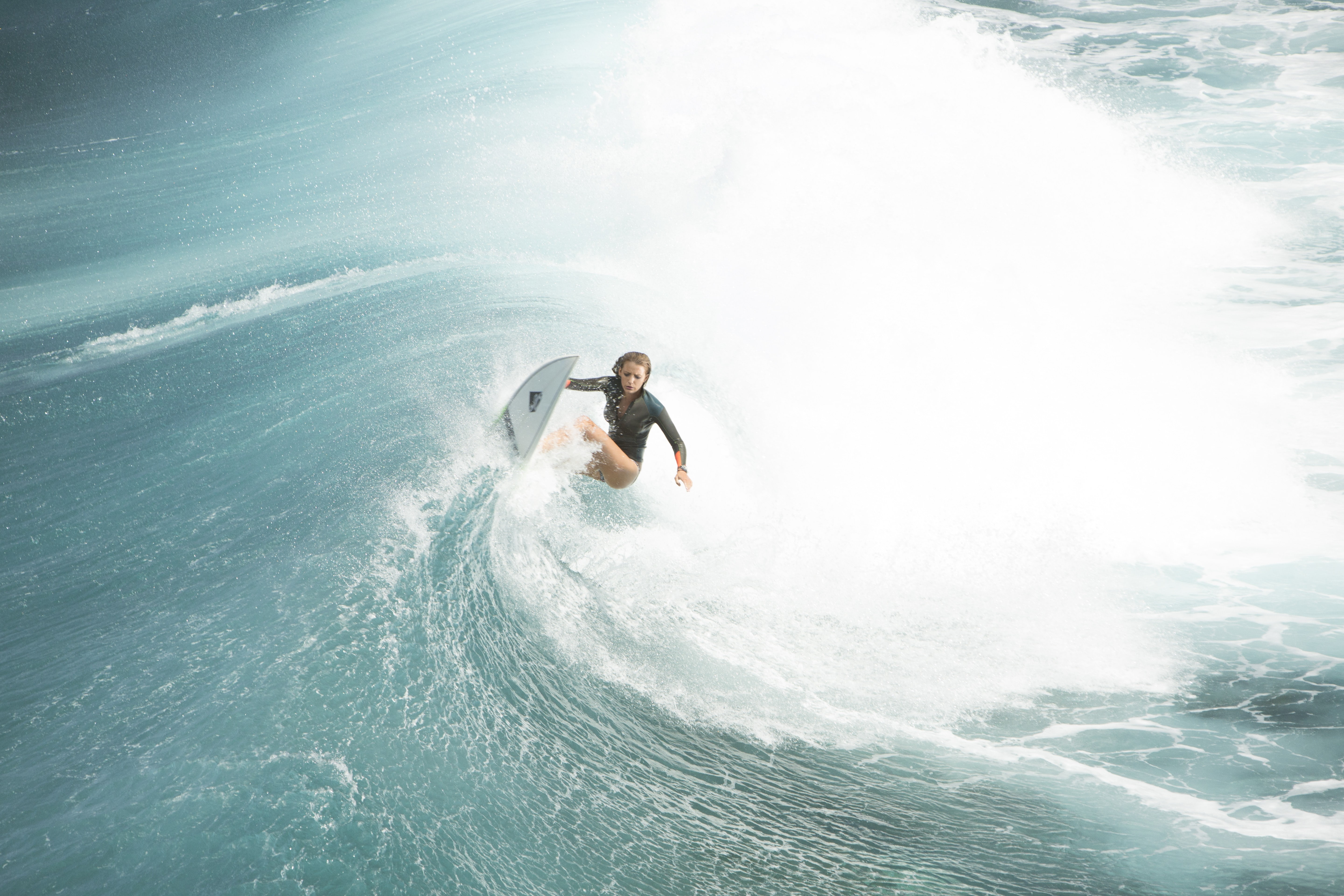 best movies, sea, 5K, Blake Lively, The Shallows, HD Wallpaper