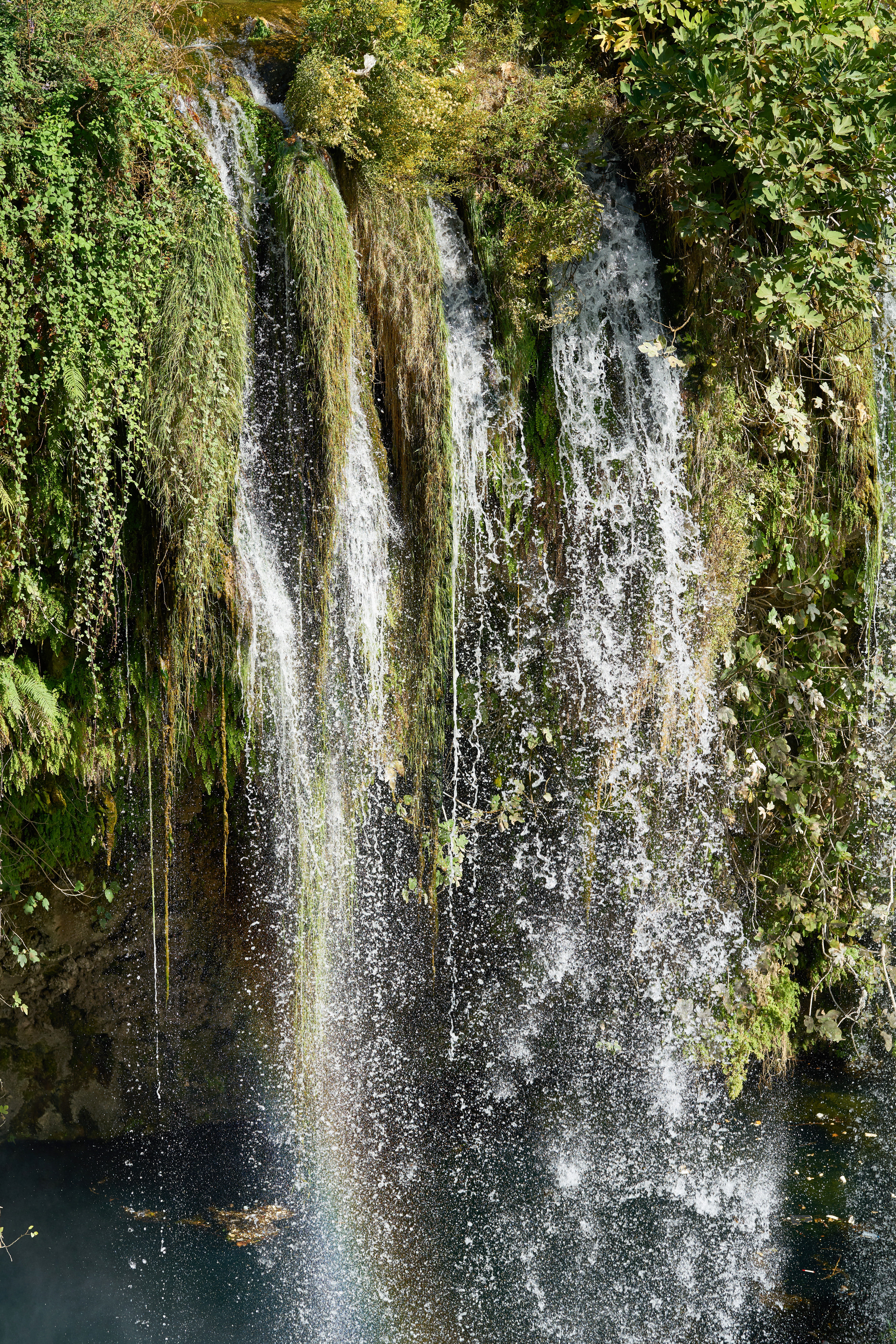 time, motion, non-urban scene, tree, waterfall, beautiful, falling water, plunge, 8K, flowing, cascade, lapse, beauty in nature, background, landscape, Phone HD Wallpaper