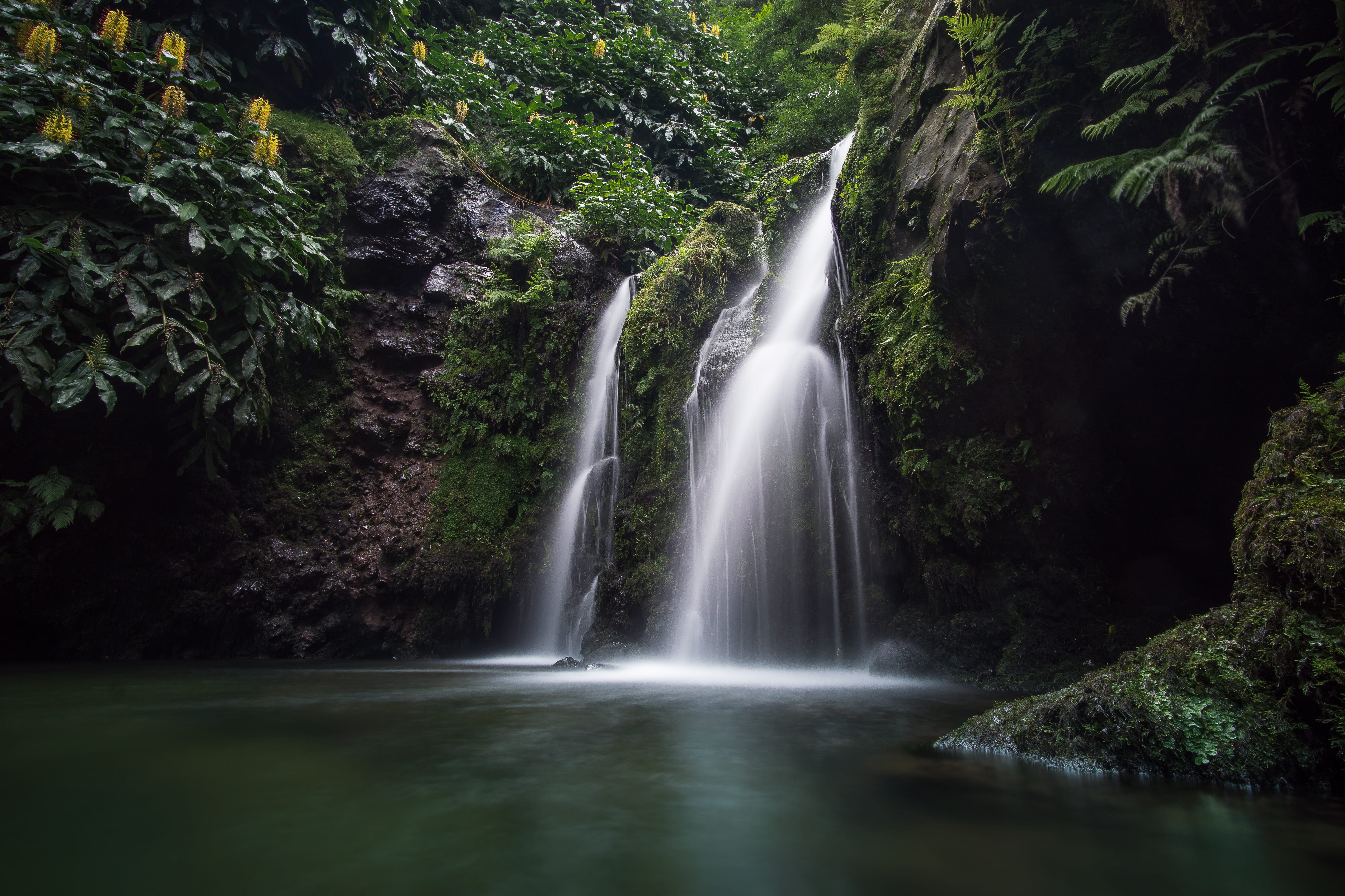 beauty in nature, waterfalls, outdoors, tree, forest, waterfall plunge pool, blurred motion, rock, waterfall, scenics - nature, water, nature, 5K, plunge pool, HD Wallpaper