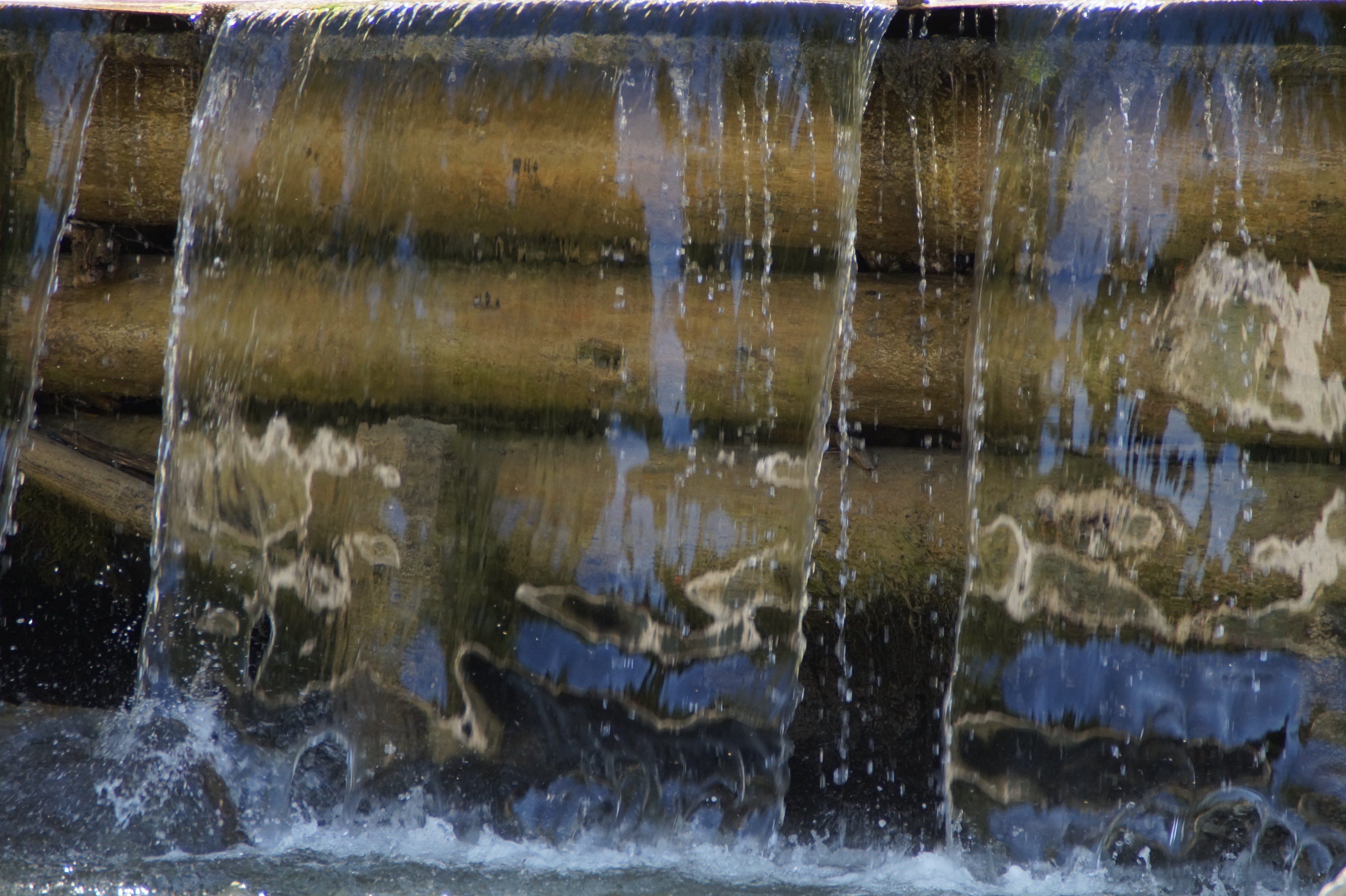 splashing, waterfall, transparent, run over, plunge, animal, purity, 5K, flowing water, close-up, reflection, animal themes, nature, stream, flow, animal wildlife, HD Wallpaper