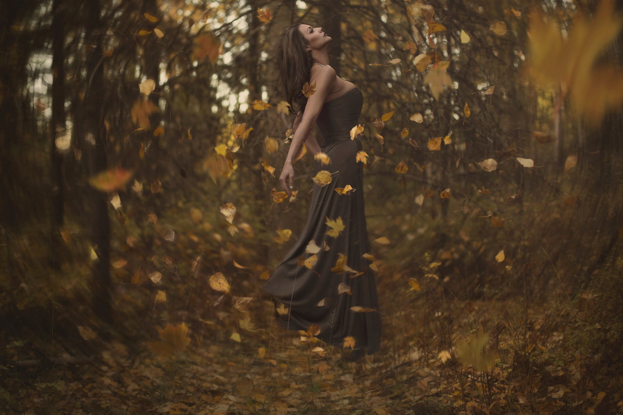 plant, tree, women, standing, outdoors, women outdoors, nature, beauty, sweetheart, three quarter length, contemplation, day, one person, fall, land, young women, HD Wallpaper