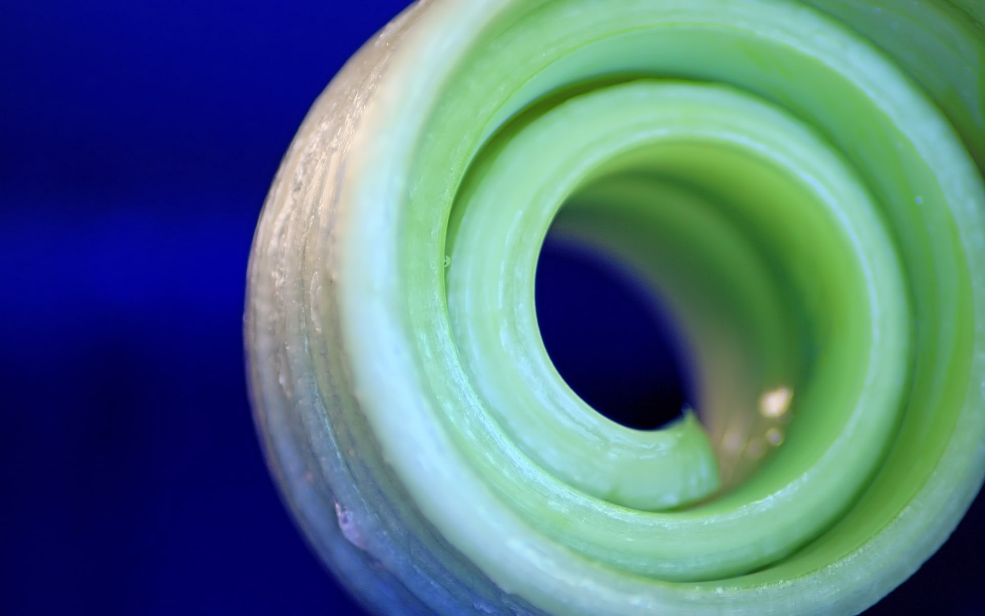 macro, hd, curled, leaf, nature, 1080P, HD Wallpaper