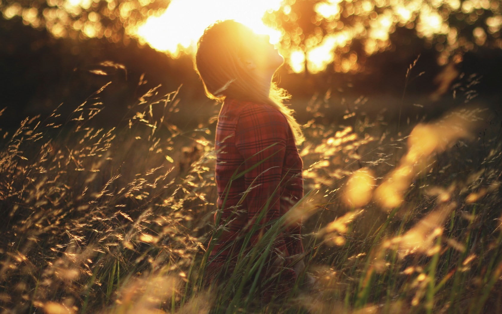 child, people, meadow, silhouette, plant, lifestyles, beauty, females, one Person, standing, sun rays, 720P, black, copy Space, sunlight, outdoors, hairstyle, HD Wallpaper