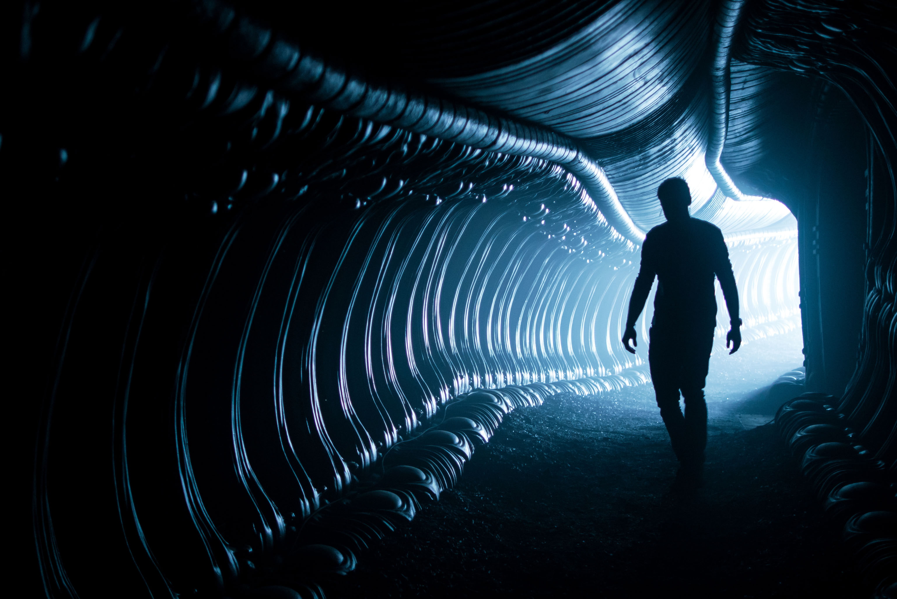 2017, 2K, Alien: Covenant, HD Wallpaper