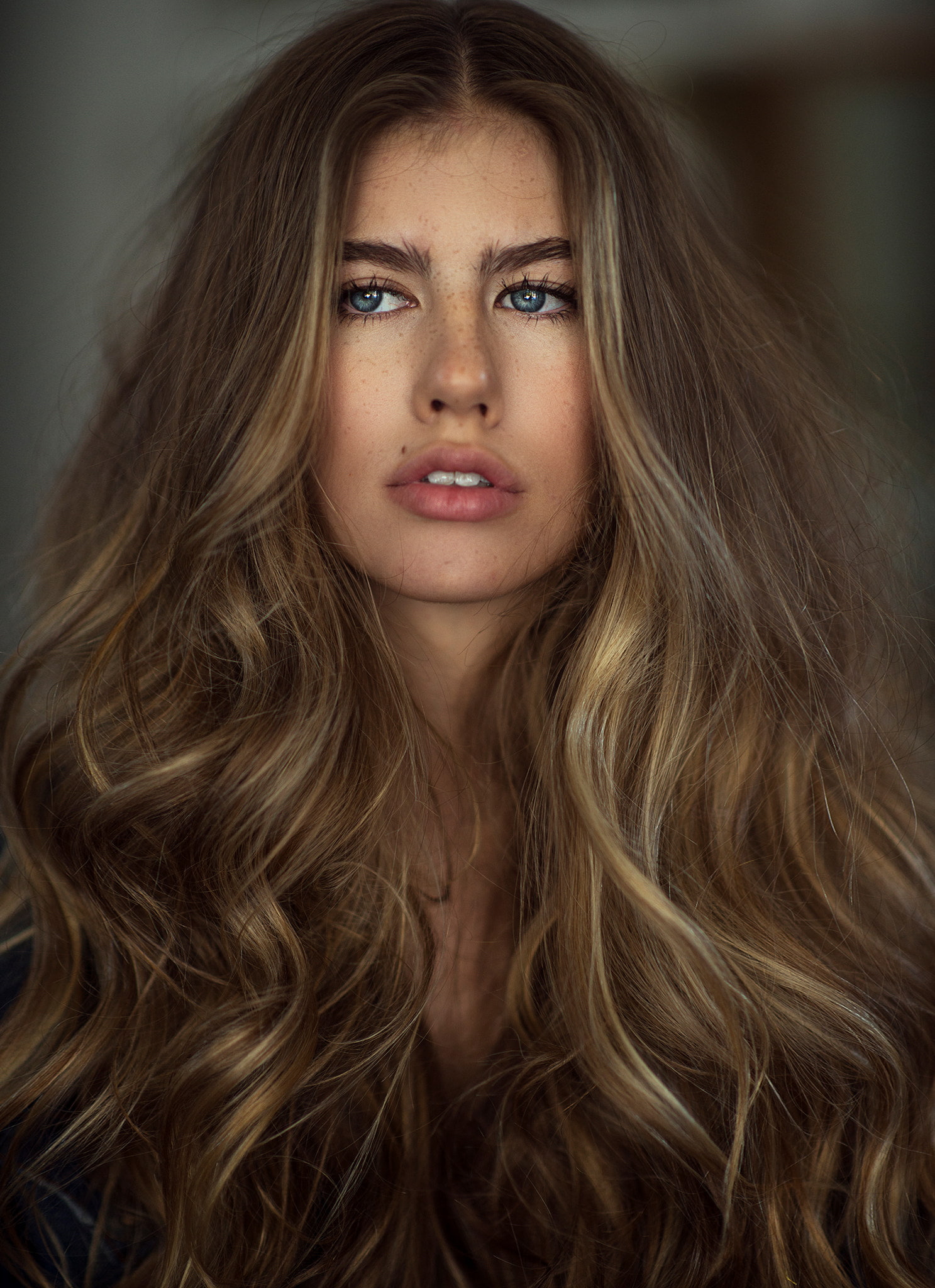beautiful people, beauty, front view, looking at camera, hairstyle, human hair, beautiful woman, young women, young adult, long hair, contemplation, human face, Phone HD Wallpaper