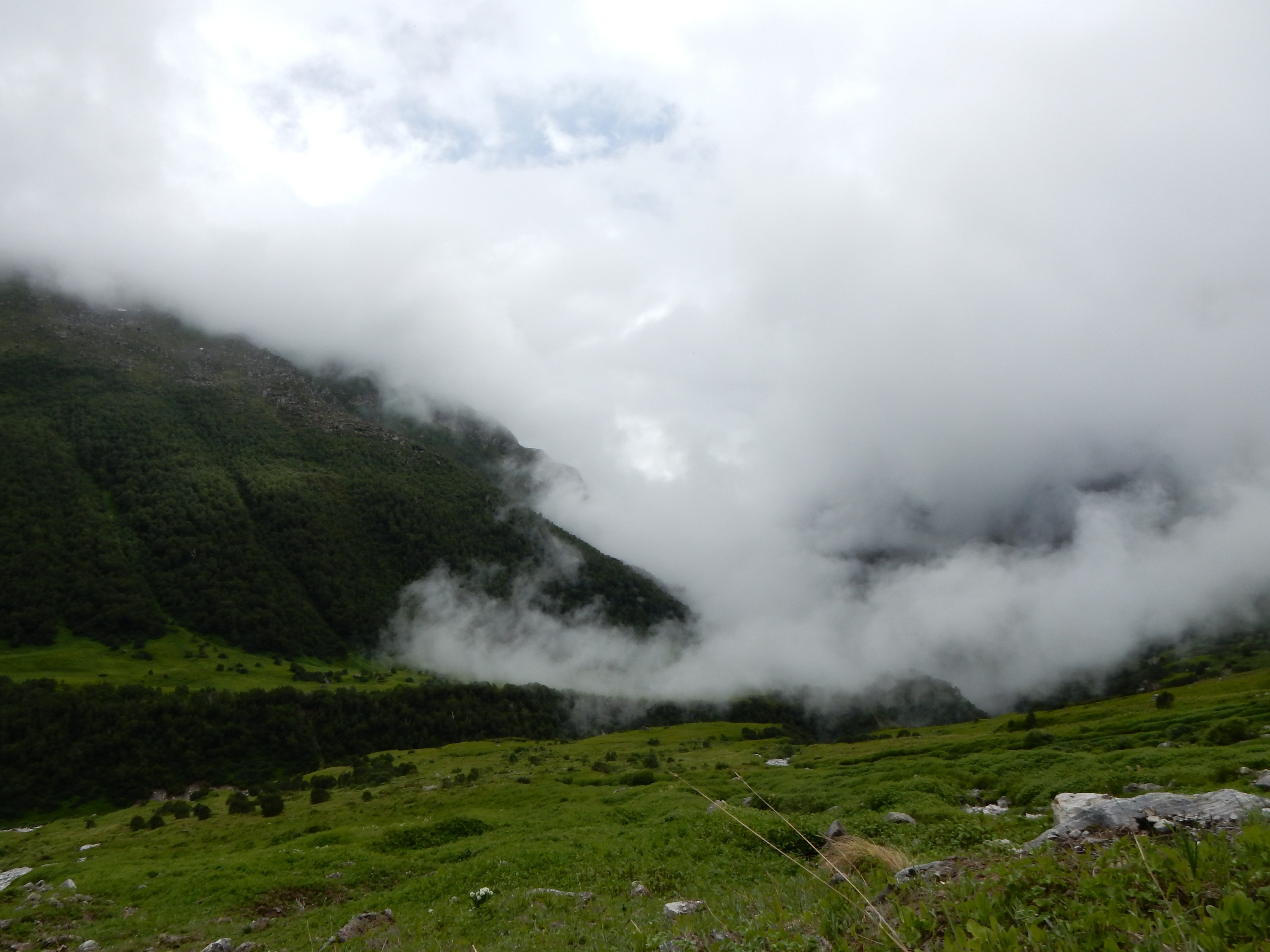scenics - nature, 4K, mountain, land, day, nature, idyllic, power in nature, Himalayas, cloud - sky, plant, fog, outdoors, non-urban scene, green color, HD Wallpaper