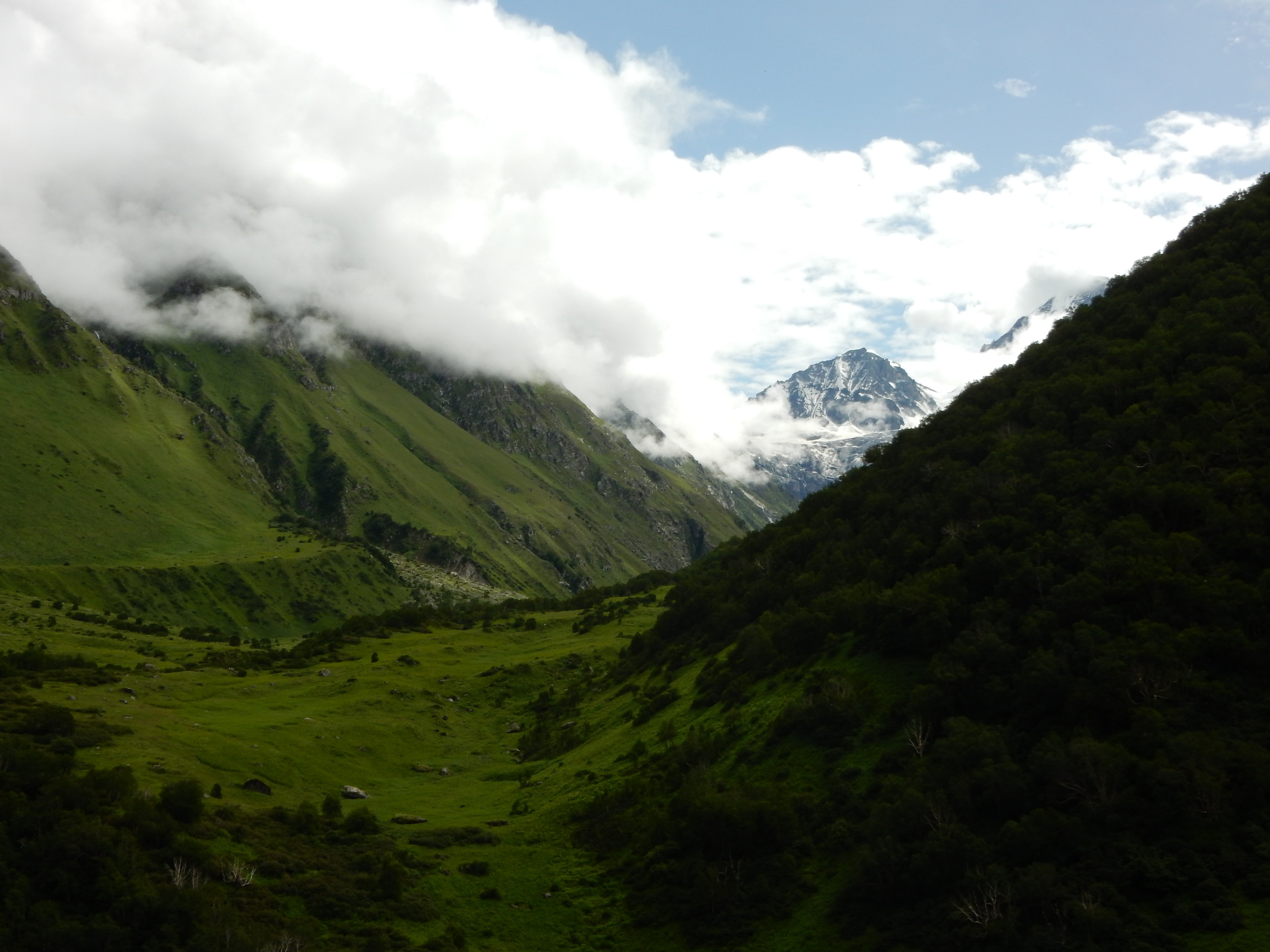 India, clouds, 4K, nature, valley, Himalayas, HD Wallpaper