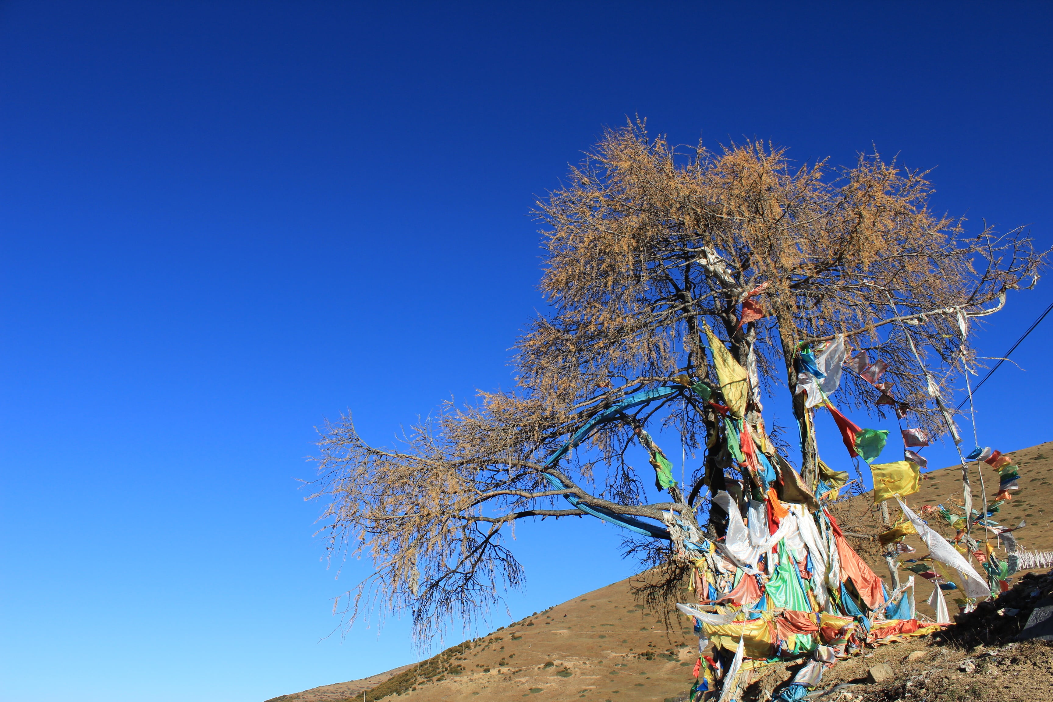 blue, nature, sunlight, landscape, in tibetan areas, 2K, outdoors, scenics - nature, non-urban scene, semi-arid, sunny, day, clear sky, sky, land, architecture, HD Wallpaper