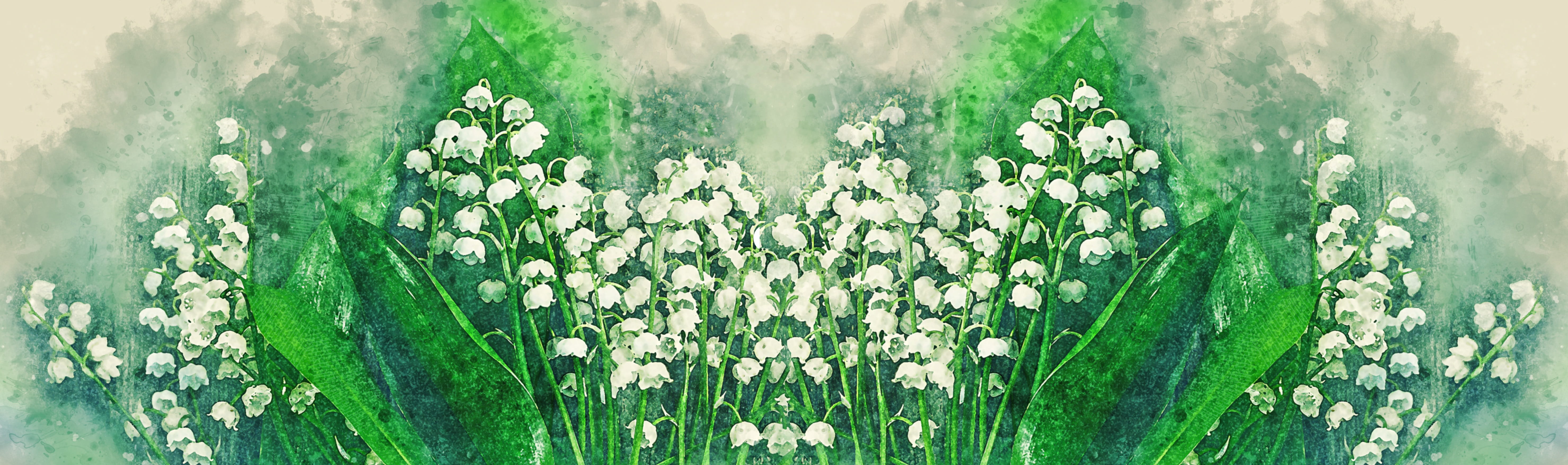 decoration, season, wood, lilies of the valley, beauty in nature, growth, freshness, fragrant, flower, frame, outdoors, wooden, vulnerability, land, botanic, HD Wallpaper
