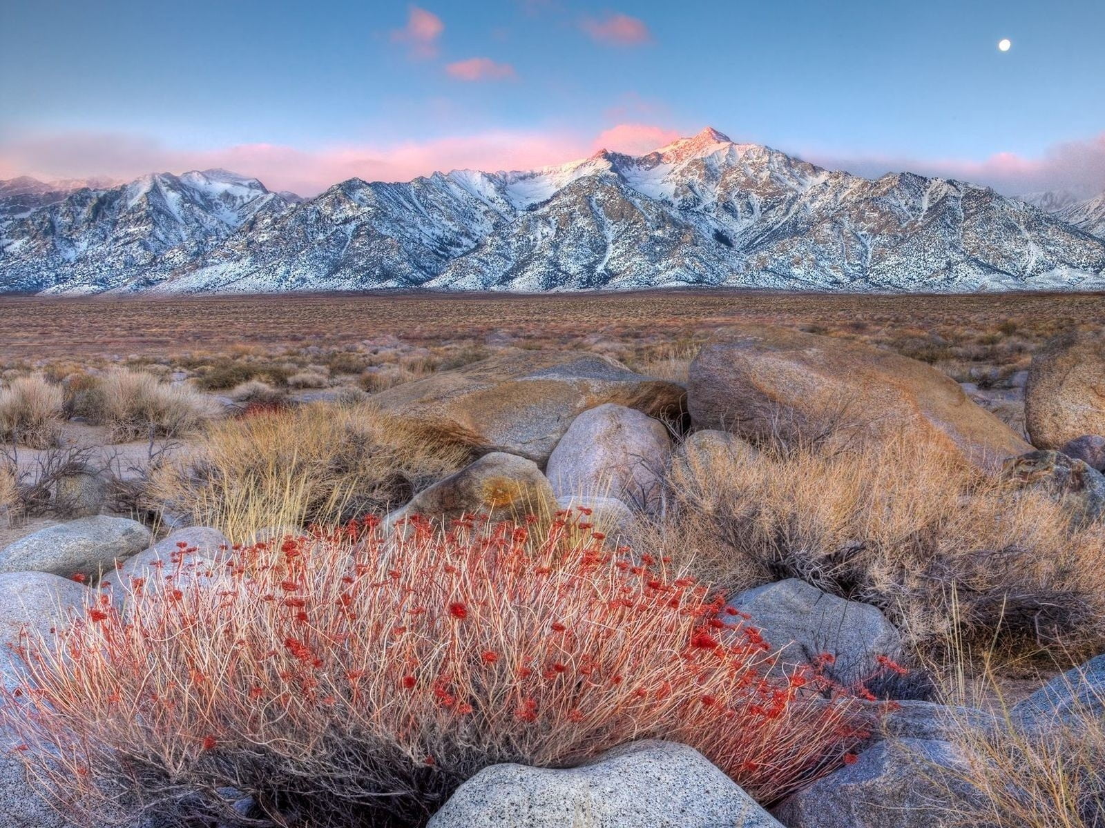 uSA, evening, nature, tranquility, summer, scenics, blue, snow, valley, national Landmark, panoramic, beauty In Nature, famous Place, landscape, rocky Mountains, HD Wallpaper