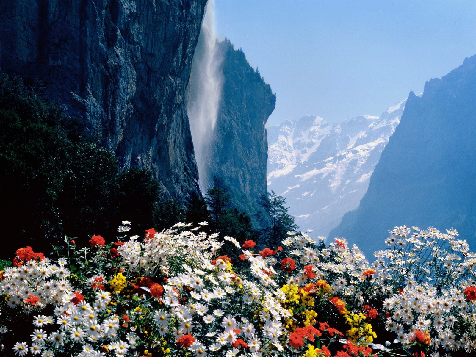 nature, hiking, summer, flowering plant, sunlight, day, freshness, europe, growth, mountain Range, cliff, beauty In Nature, national Landmark, Switzerland, HD Wallpaper