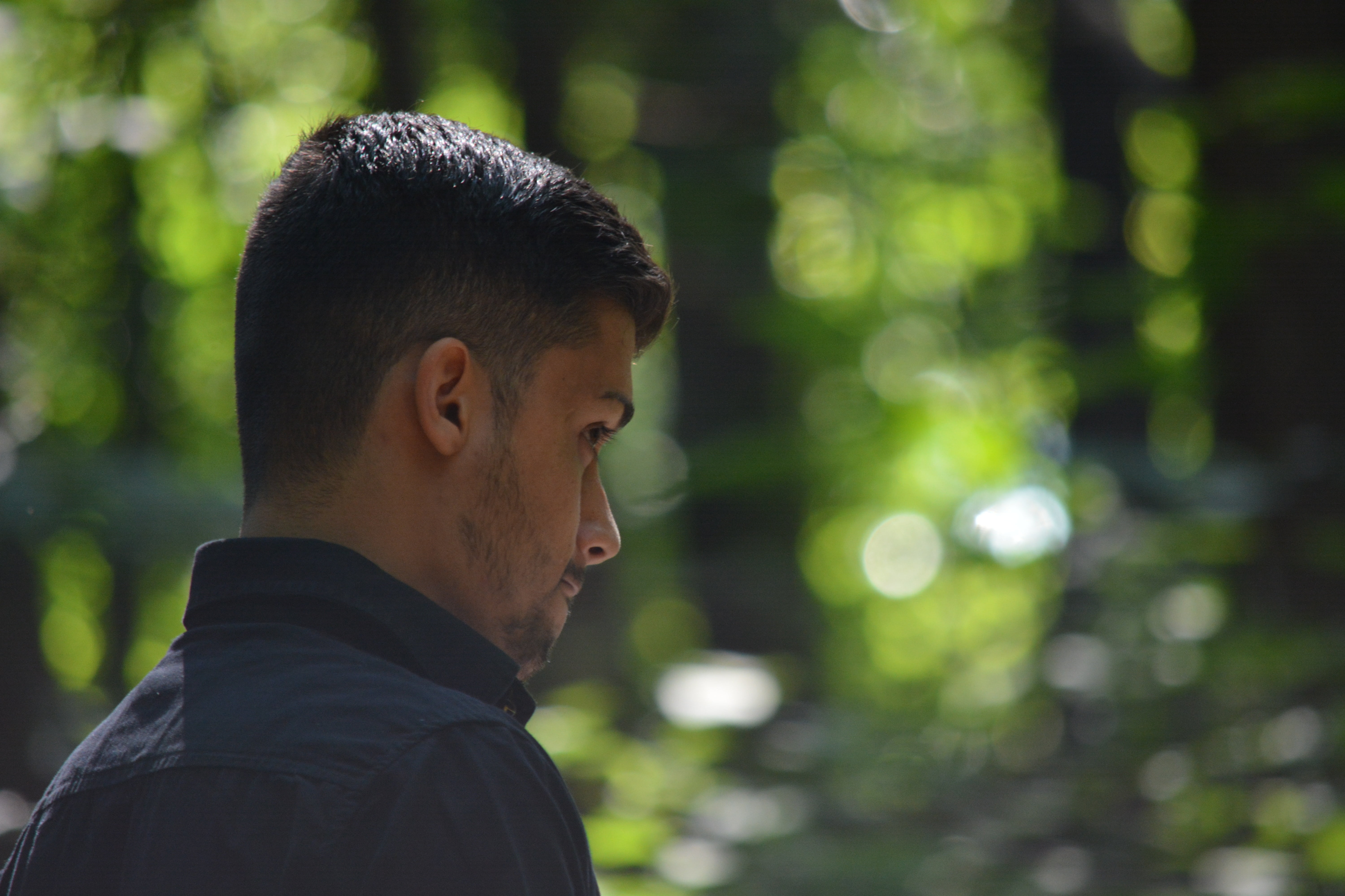 profile view, adult, portrait, tree, focus on foreground, perspective, nature, men, one person, looking, headshot, side view, outdoors, young adult, 5K, HD Wallpaper