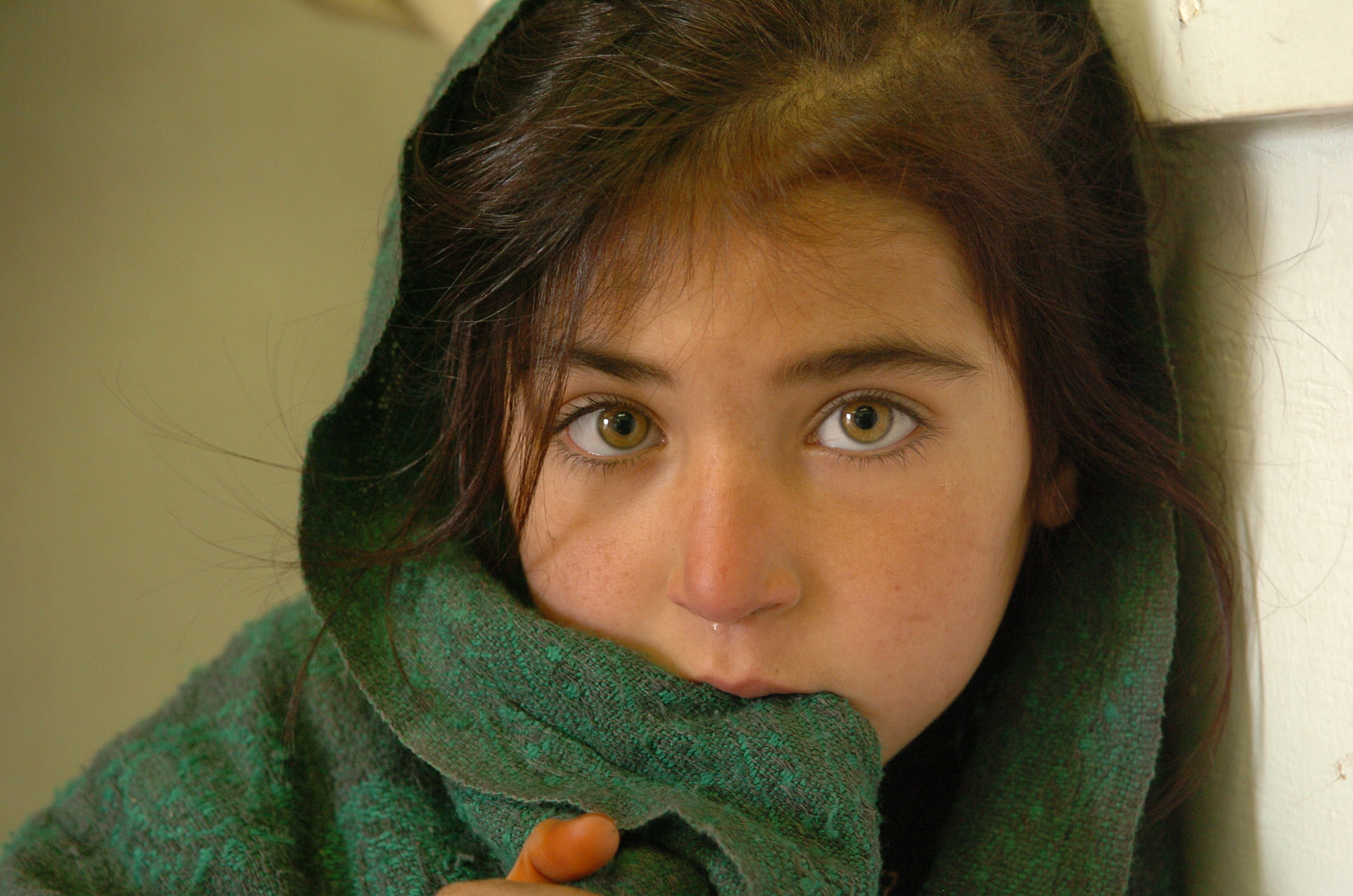 1080P, Afghan, HD Wallpaper