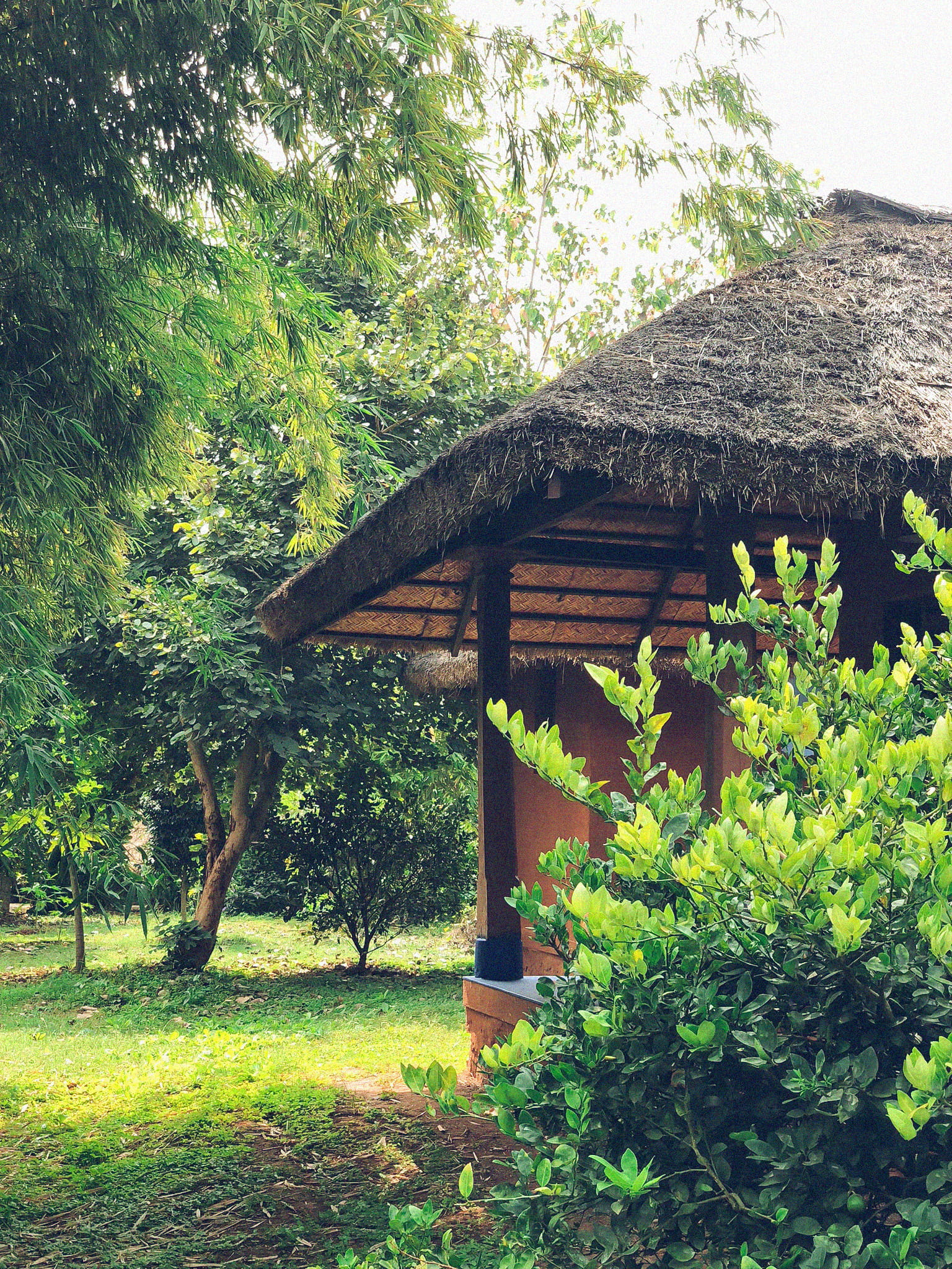 built structure, outdoors, beautiful, places to stay, incredibleindia, no people, mysore, airbnb, building, thatched roof, explore, india, resort, plant, Phone HD Wallpaper