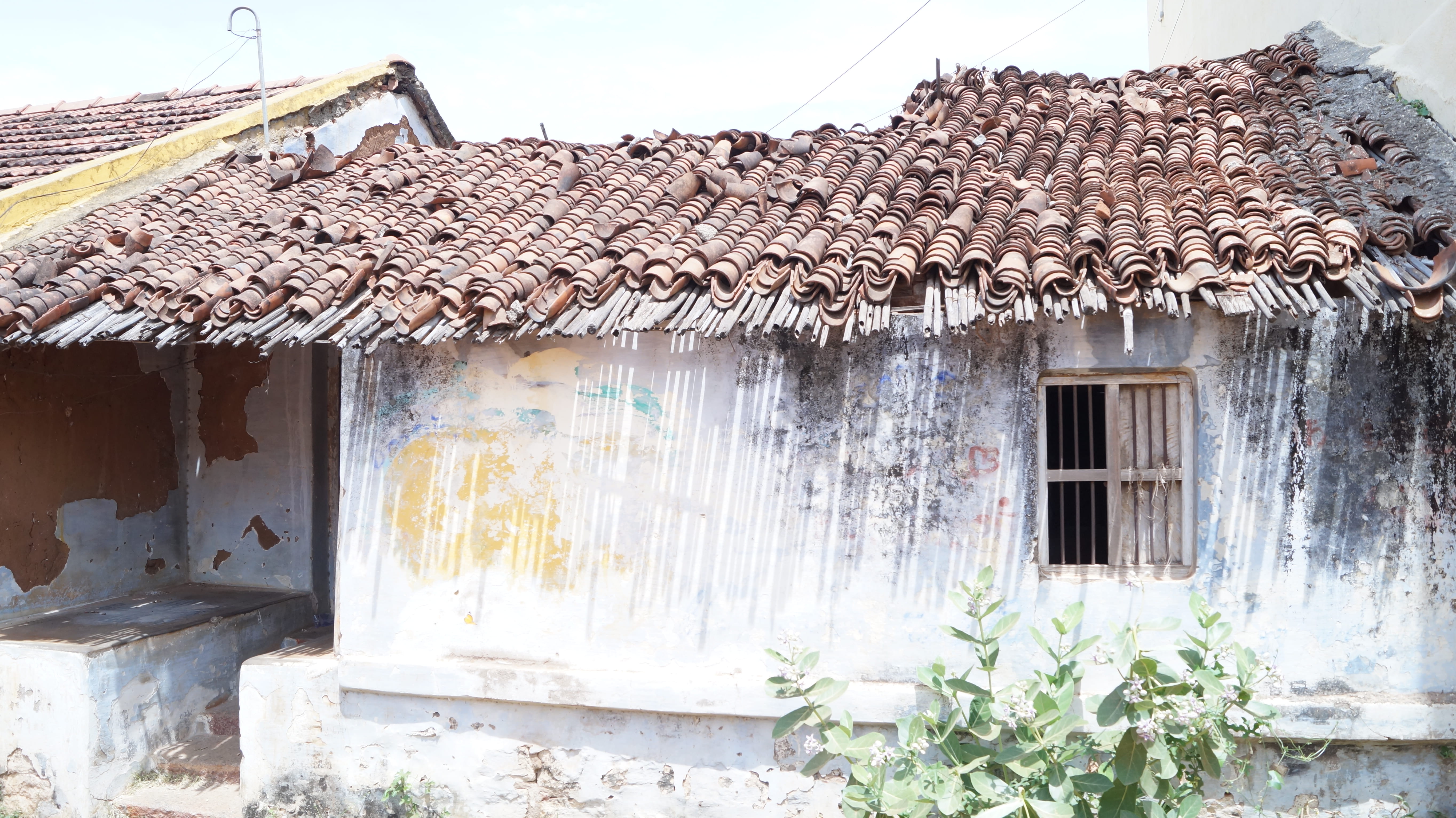 residential district, architecture, travel, growth, photo, wood - material, building exterior, nature, story, outdoors, no people, incredibleindia, sunlight, HD Wallpaper