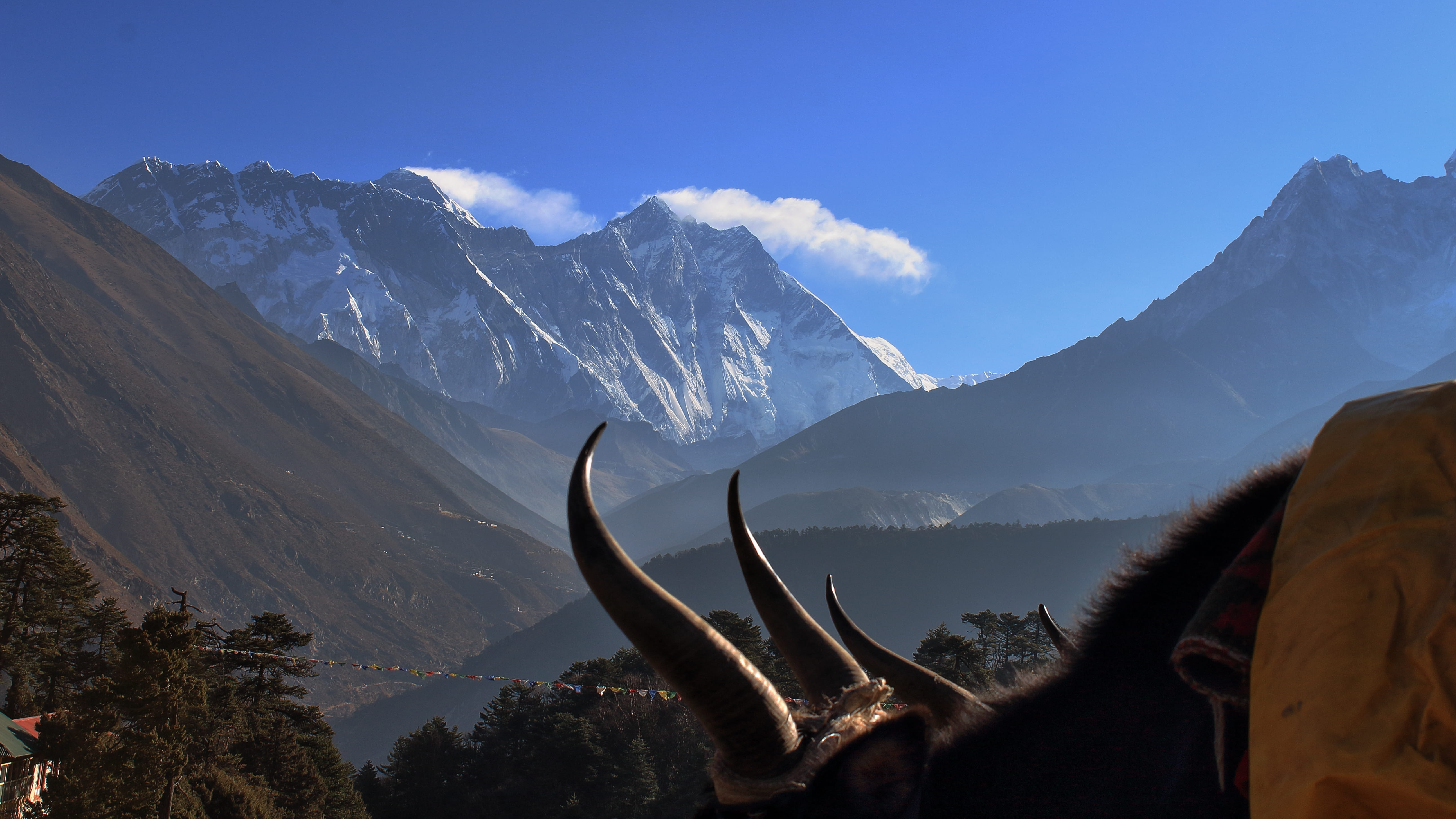 mountain love, 5K, nepal, tengboche, winter, beauty in nature, non-urban scene, idyllic, mountain everst, tengboche monastery, day, animal, trekking, plant, HD Wallpaper
