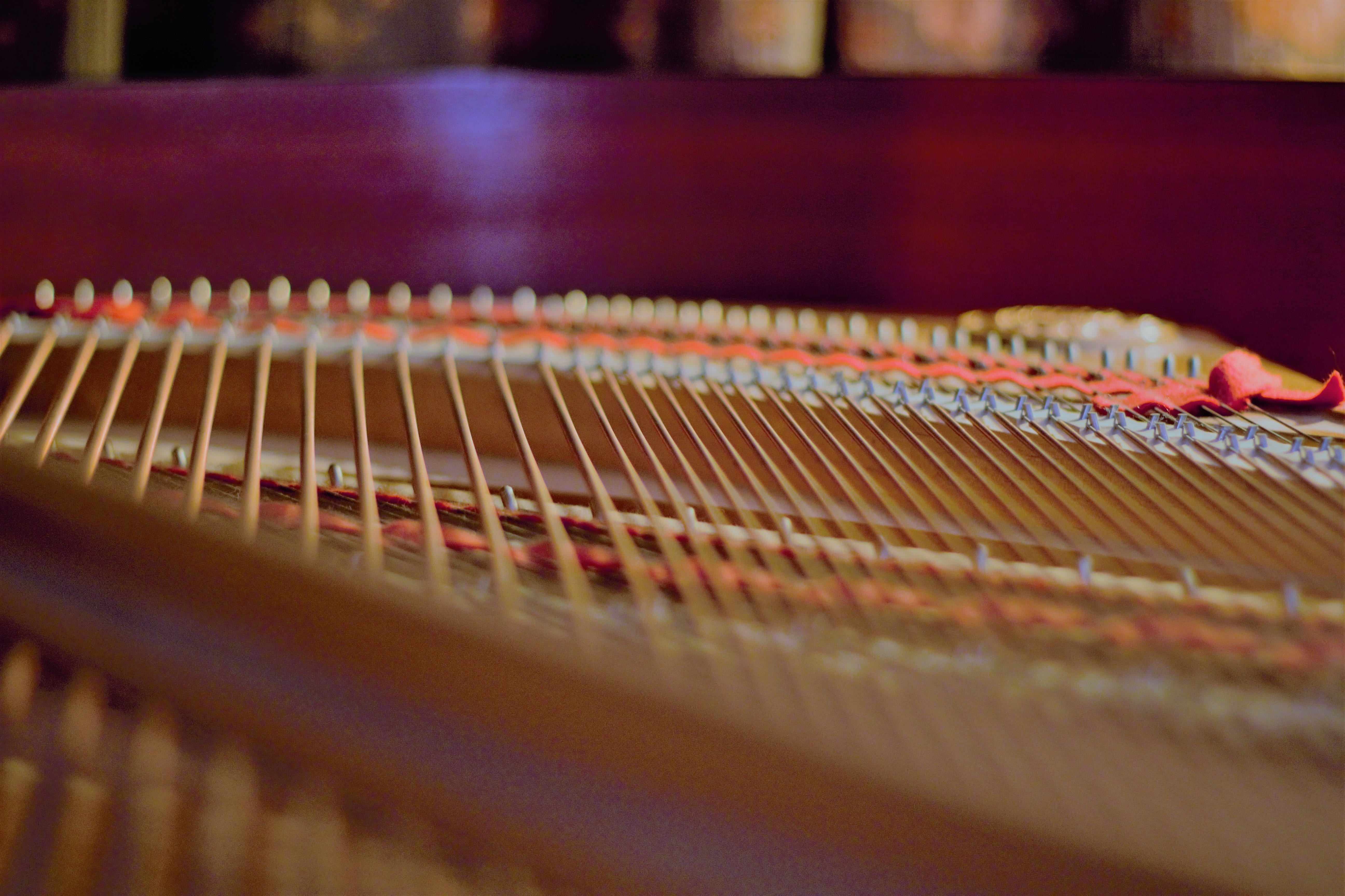in a row, technology, musical, string, indoors, focus on foreground, strings, rhythm, show, musical instrument, string instrument, selective focus, musician, HD Wallpaper