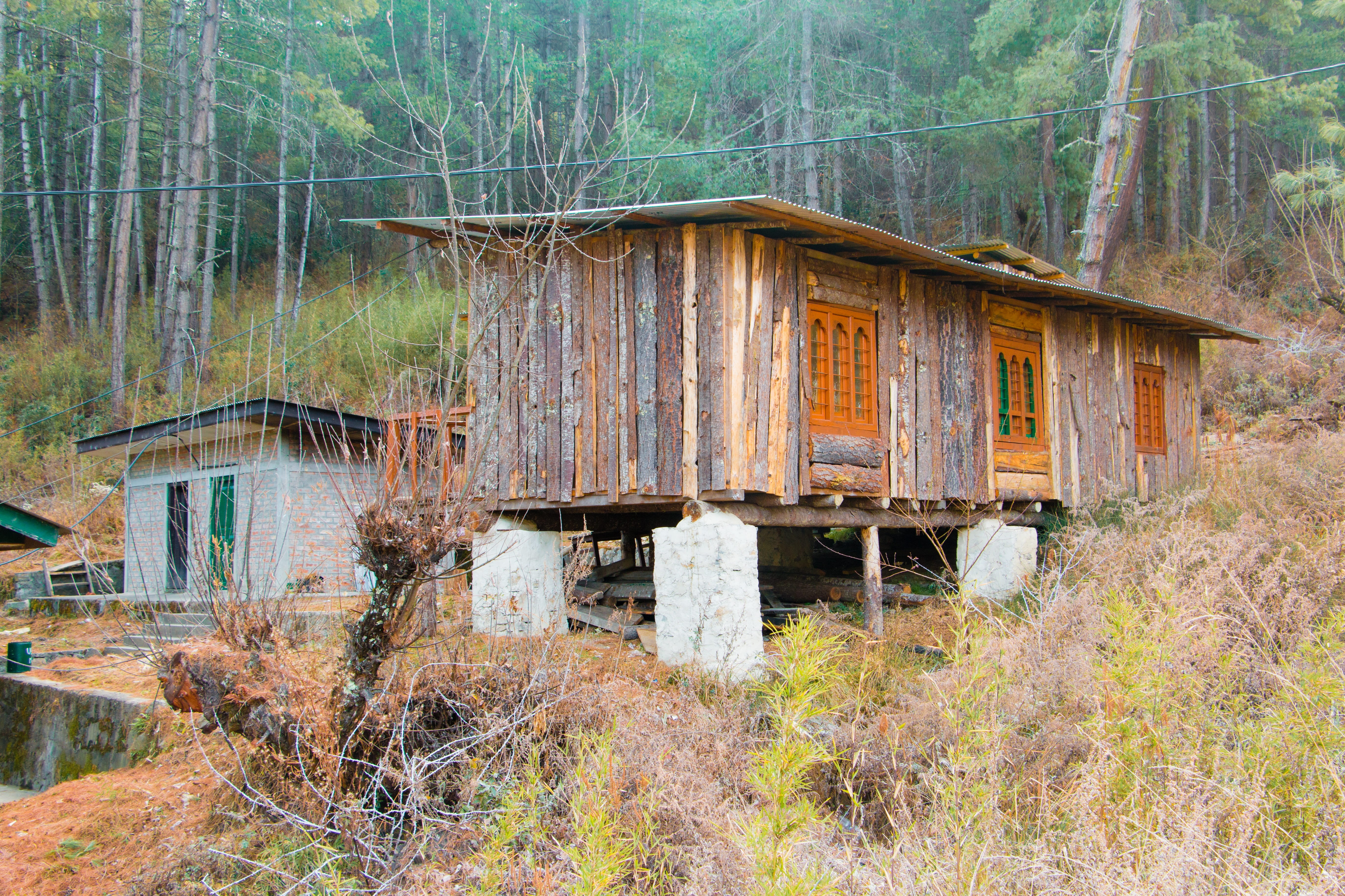 bad condition, building exterior, plant, autumn, landscape, nature, tree, 5K, no people, abandoned, obsolete, weathered, rural scene, day, bhutan tourism, HD Wallpaper
