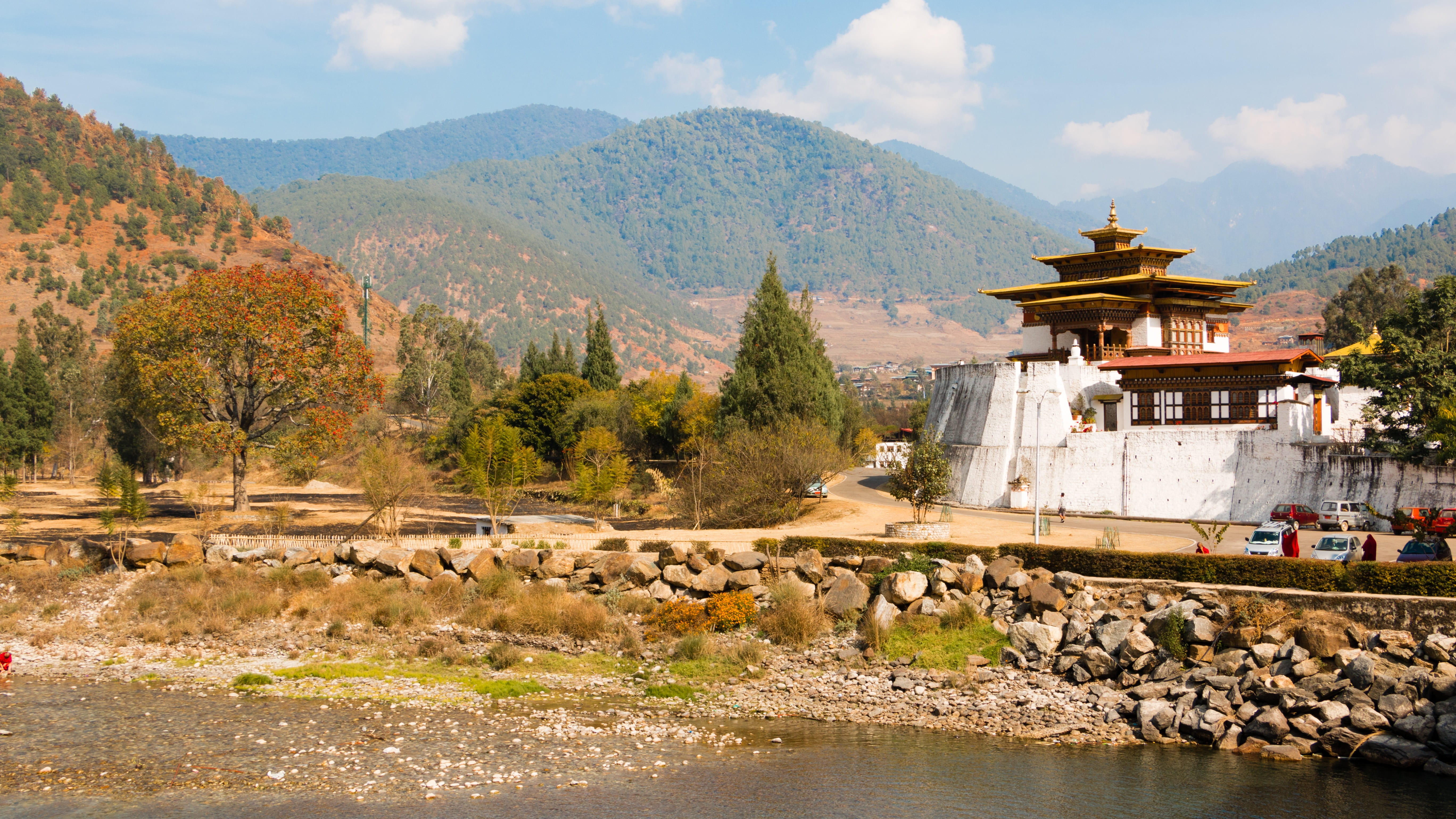5K, building, day, no people, pagoda, group of animals, bhutan, tree, architecture, water, travel destinations, built structure, beauty in nature, nature, HD Wallpaper