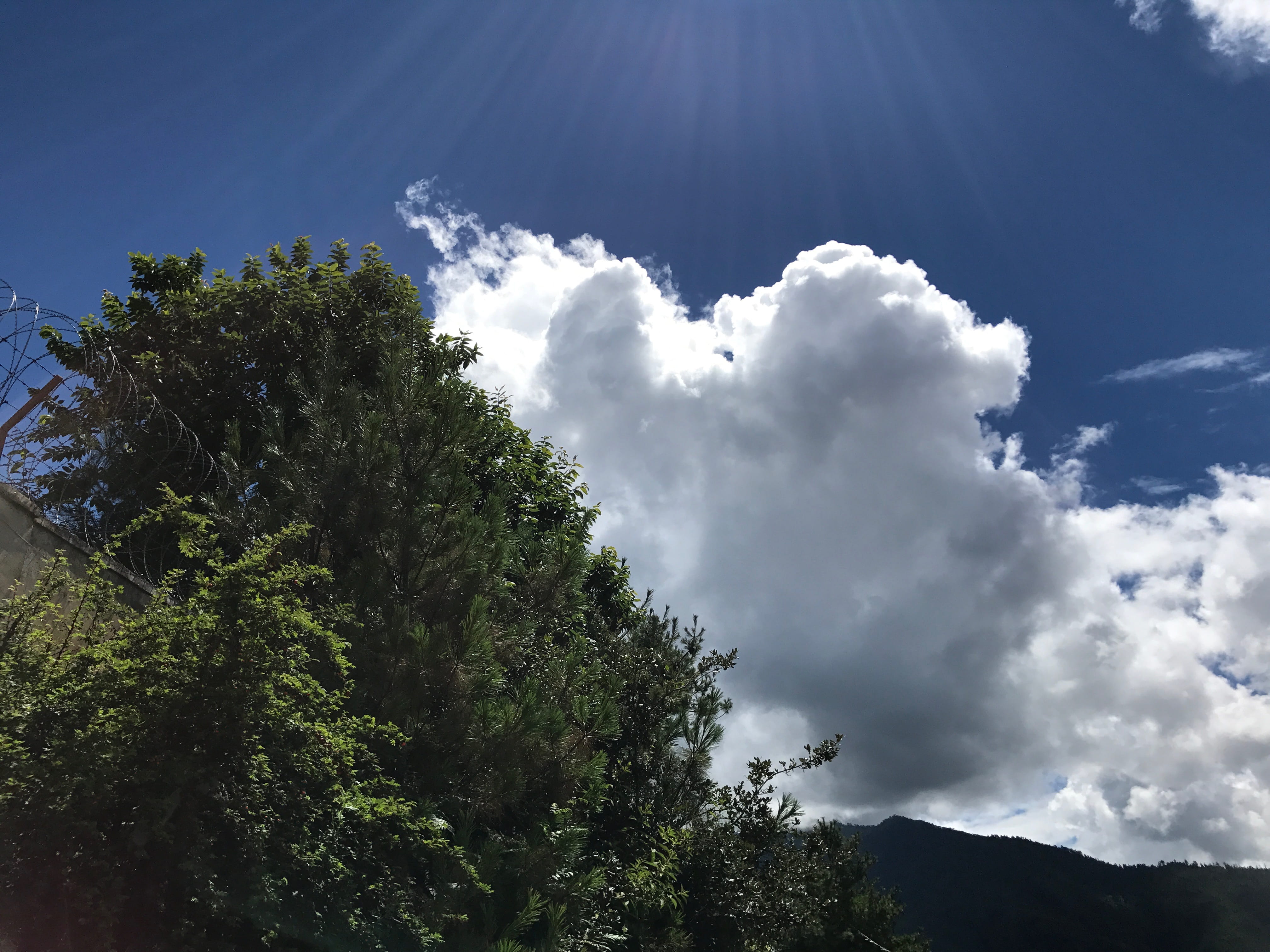 growth, white color, tranquil scene, bhutan, 4K, cloud, sky, beauty in nature, sunlight, cloud - sky, idyllic, pinetree, non-urban scene, plant, outdoors, HD Wallpaper