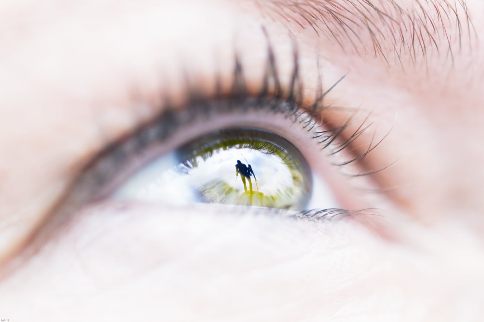 mencey, yellow, women, Tenerife, eyelash, Spain, ball, Olympus  E-5, Menc, ZD, eye, people, close, eyesight, looking, macro, close-up, 720P, iris - Eye, HD Wallpaper