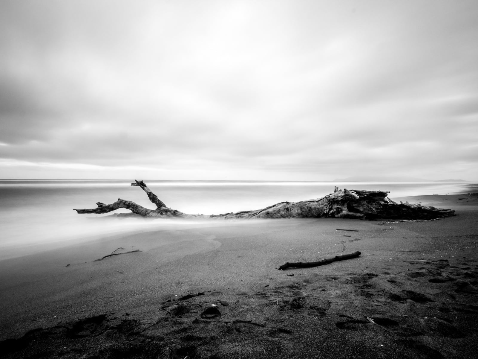 tree, ND, ZD, rock - Object, scenics, trunk, landscape, coastline, f4.0, Time off, sky, beach, bianco  nero, no People, outdoors, sunset, olympus  OM-D  E-M5, HD Wallpaper