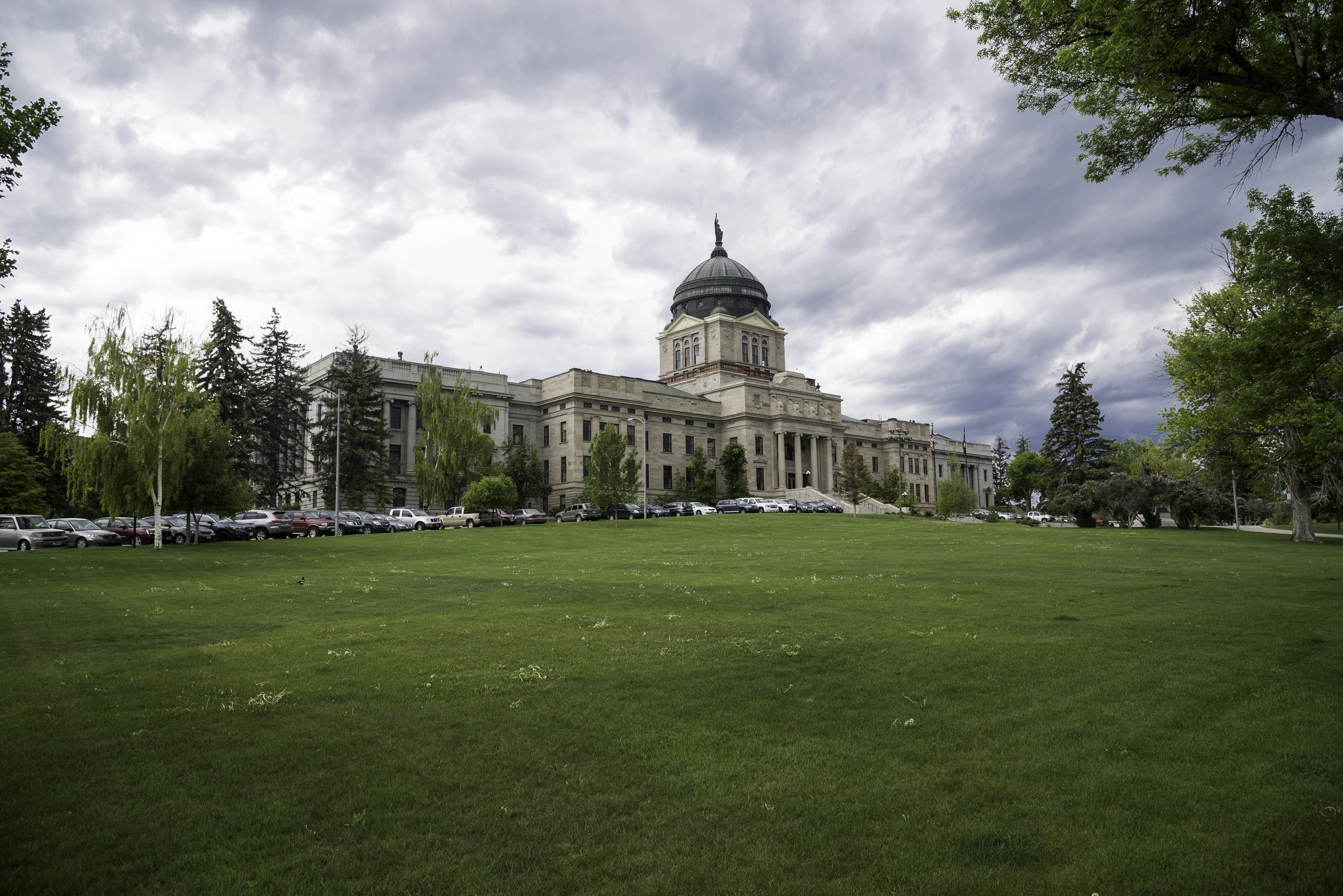tree, city, skies, travel, buildings, montana state capital, no people, history, United States, famous Place, building Exterior, dome, montana, Capital, HD Wallpaper