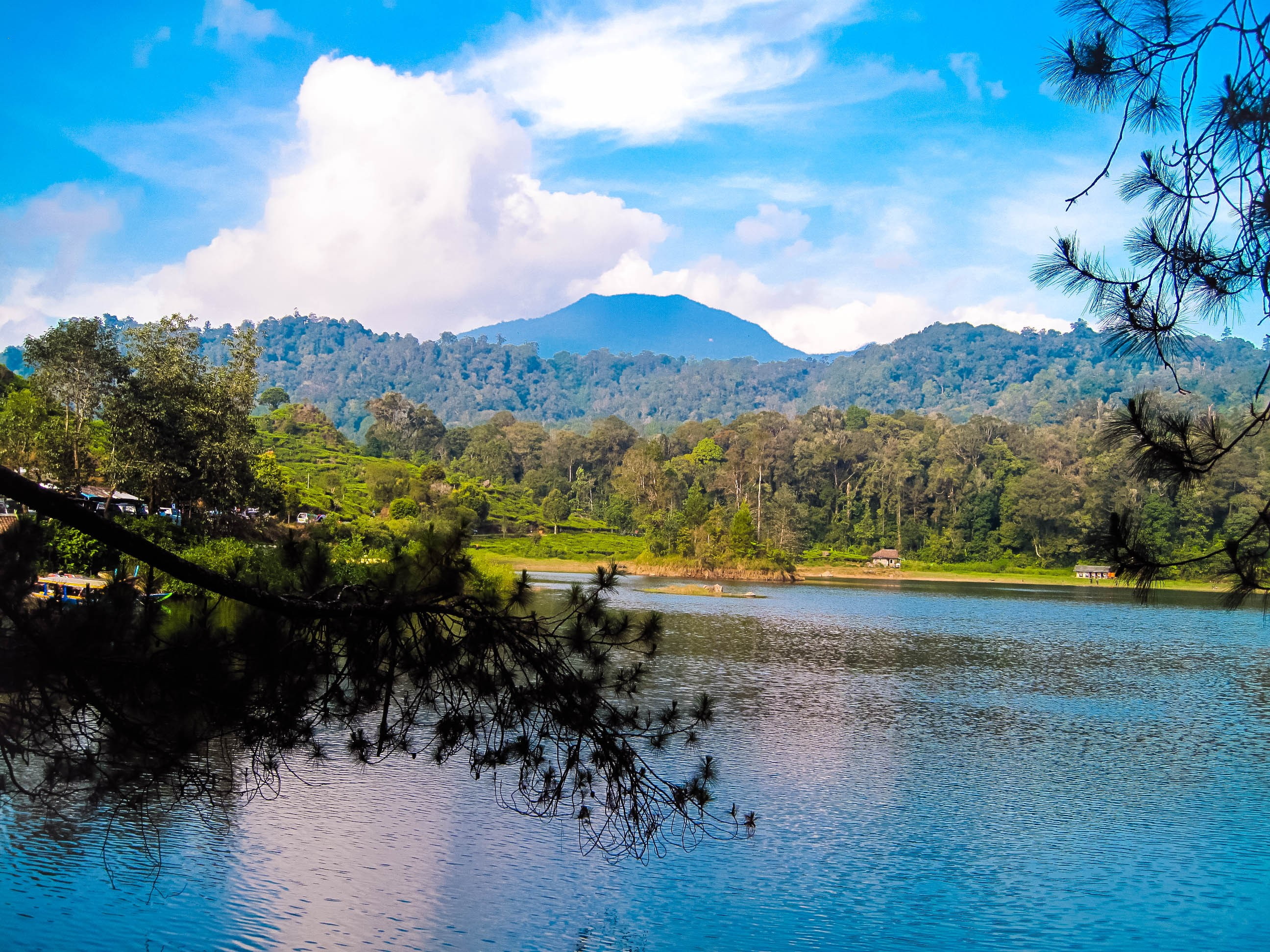 reflection, 2K, trees, day, plant, waterfront, mountain range, sky, landscape, no people, lightroom, idyllic, growth, tree, nature, water, mountain, mountains, HD Wallpaper