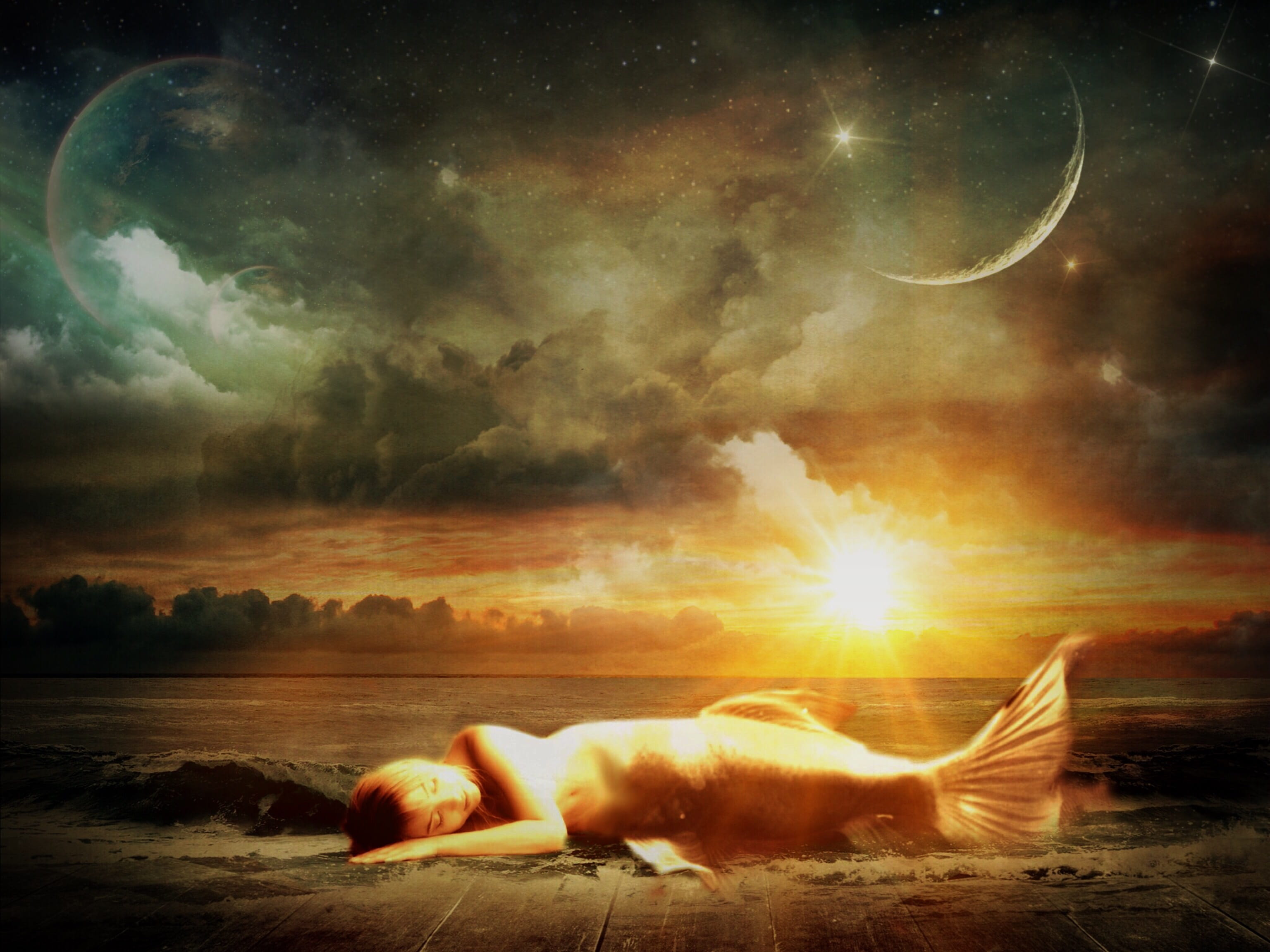 stranded, mermaid, dreamlike, animal, beauty in nature, sea water, nature, water, tranquil scene, sleeping, background image, moon, wave, sunset, wood, HD Wallpaper