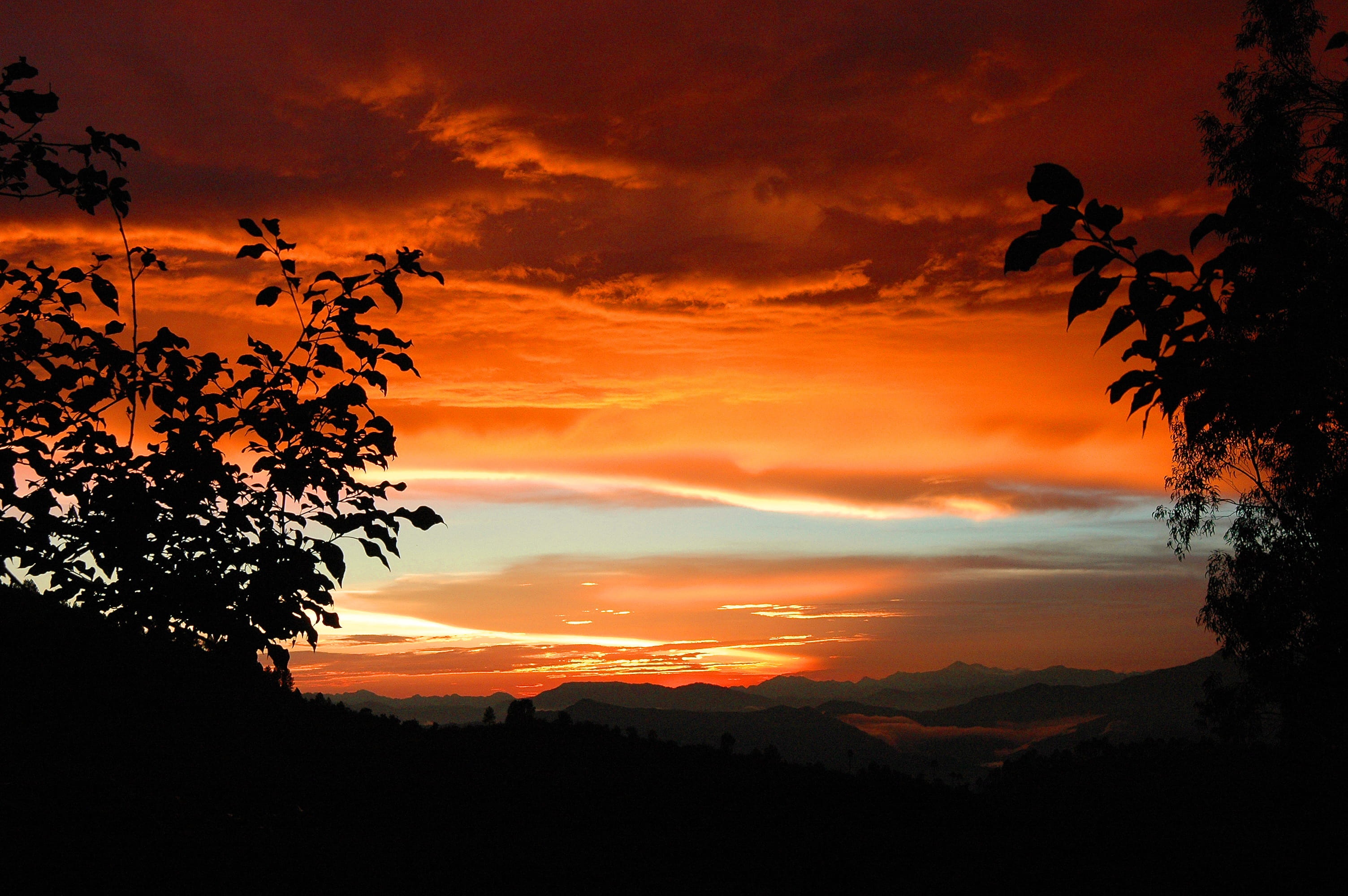 tree, cloud - sky, romantic sky, silhouette, outdoors, 2K, nature, plant, awe, sunset, beauty in nature, scenics - nature, mountain, tranquility, tranquil scene, HD Wallpaper
