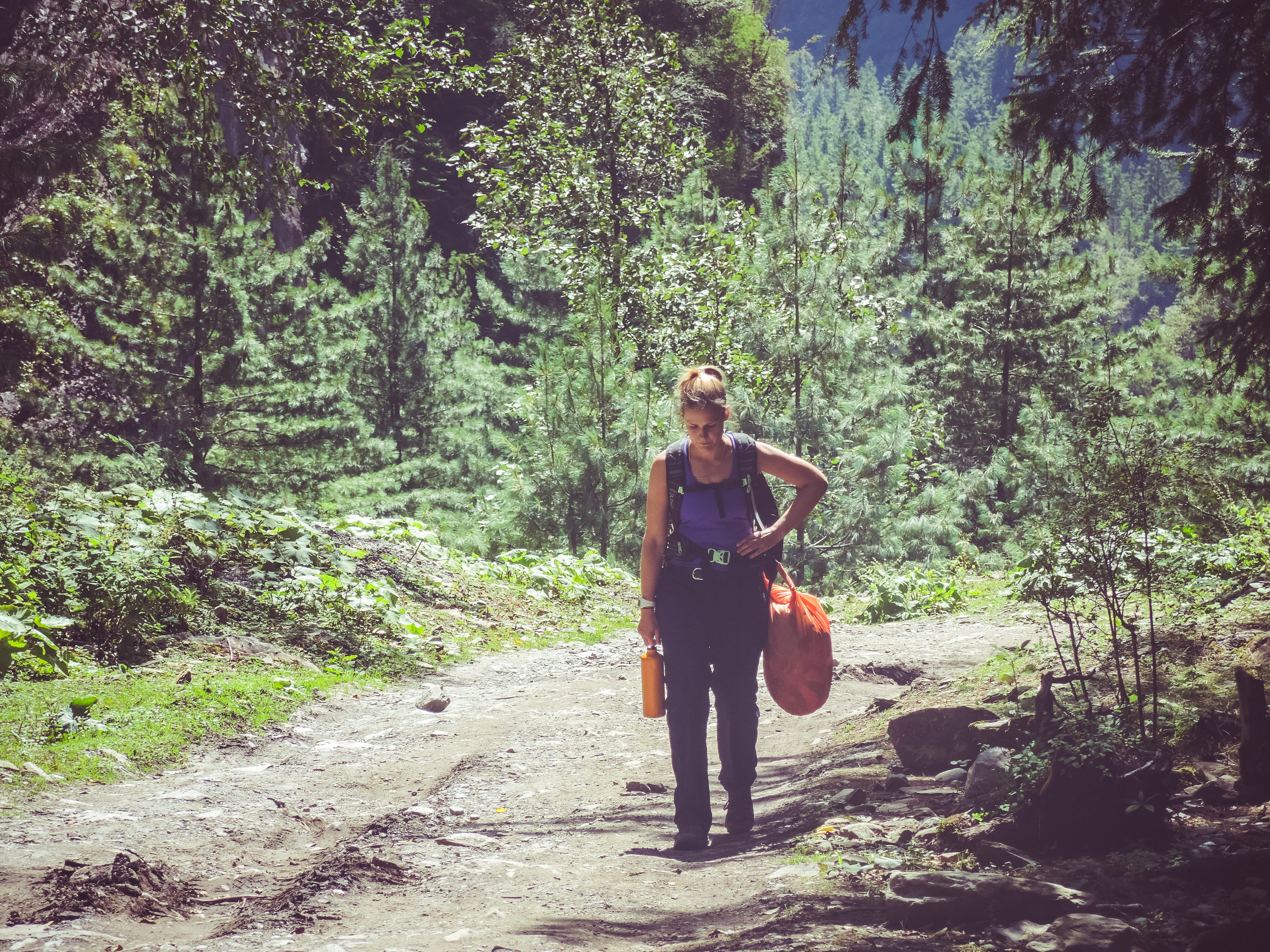growth, gunsang, plant, hiking, full length, hike, water bottle, front view, backpack, sunlight, tree, one person, beauty in nature, land, nepal, lifestyles, HD Wallpaper