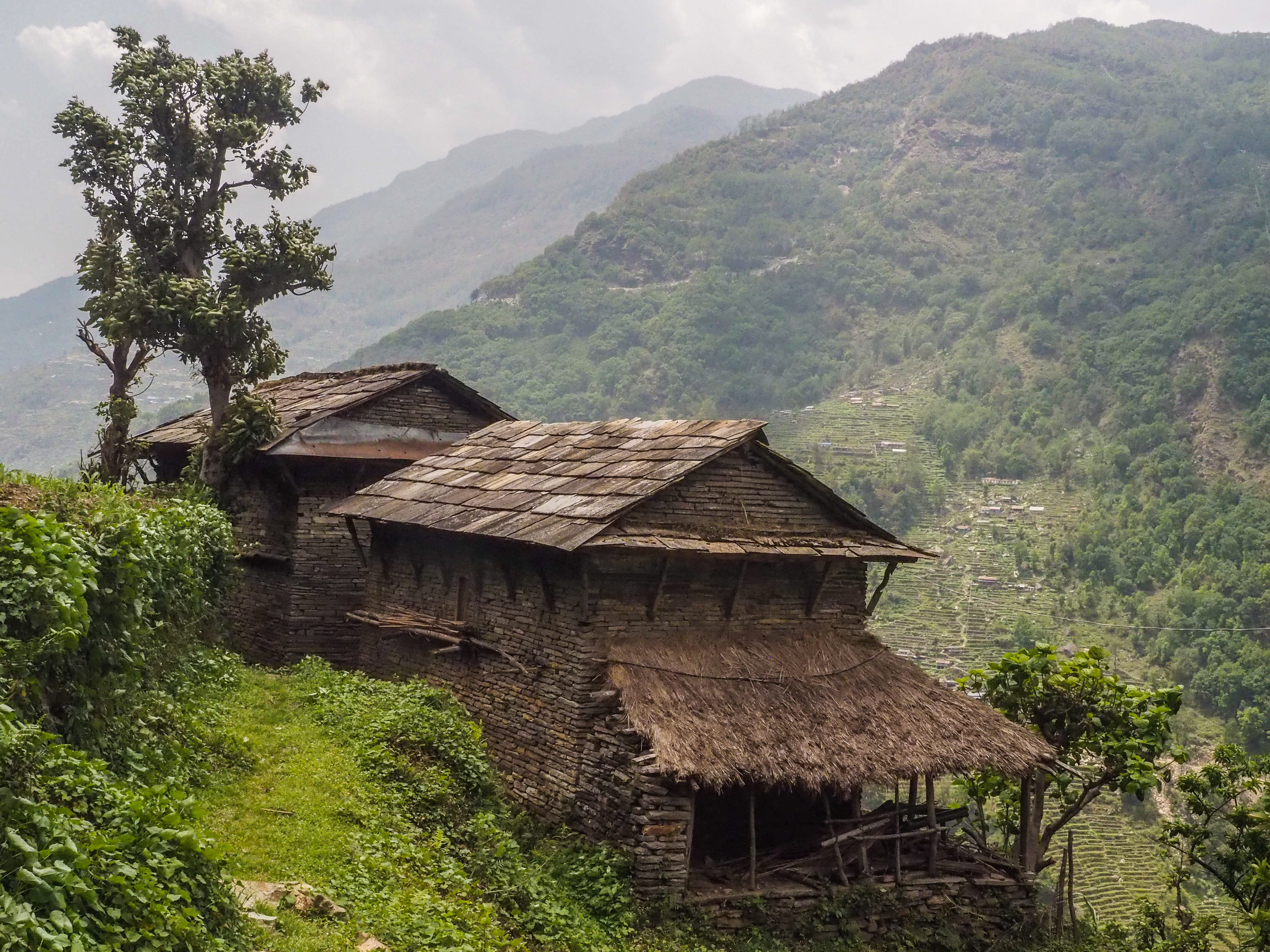 rural, scenics - nature, nepal, hut, roof, growth, beauty in nature, nature, built structure, building, housing, landscape, plant, building exterior, architecture, HD Wallpaper